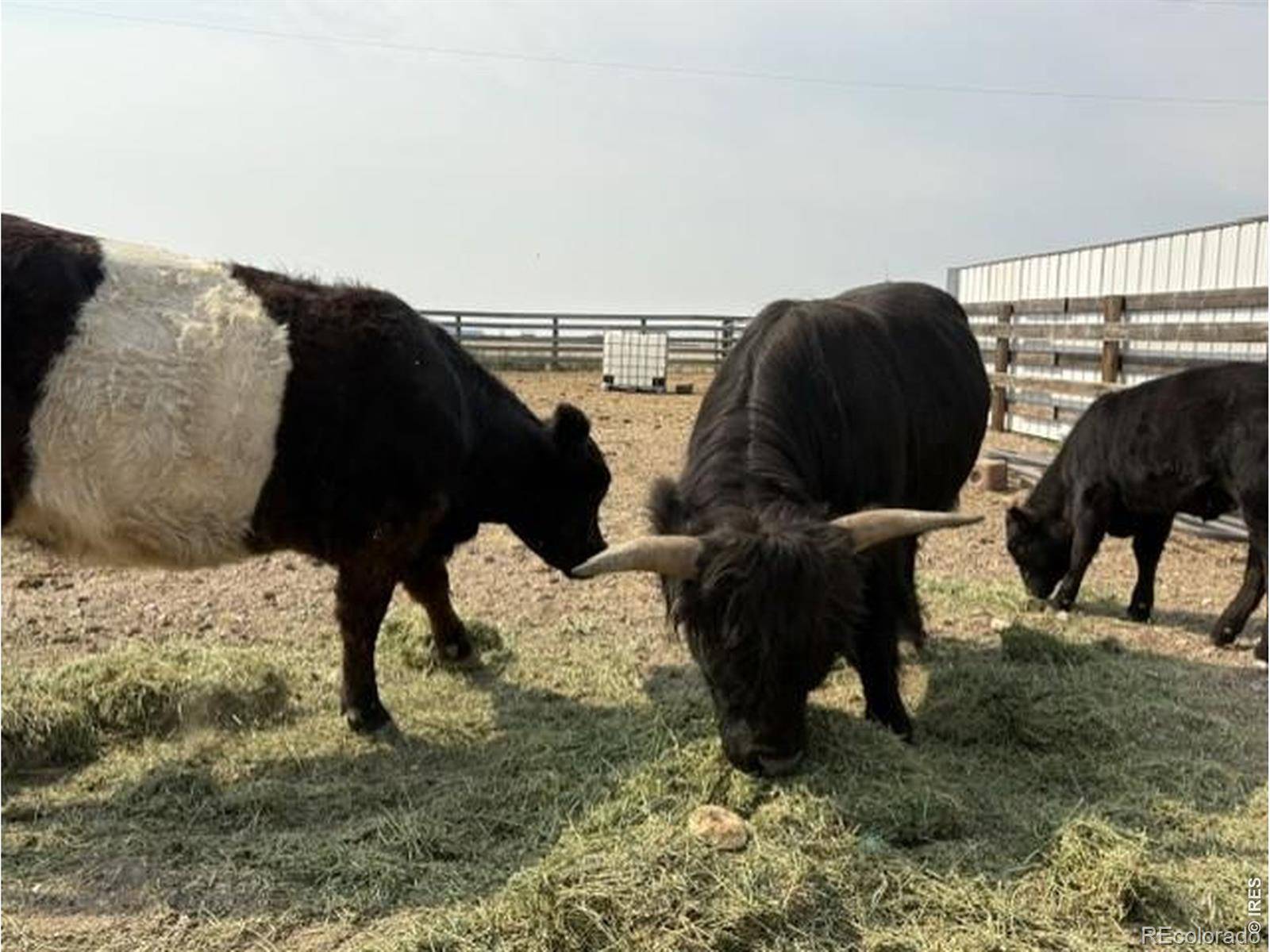 Lot G County Road 43 and 96 RD, Pierce, CO 80650