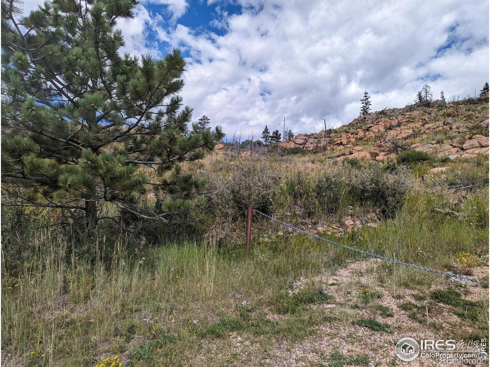 1737 Eiger RD, Livermore, CO 80536