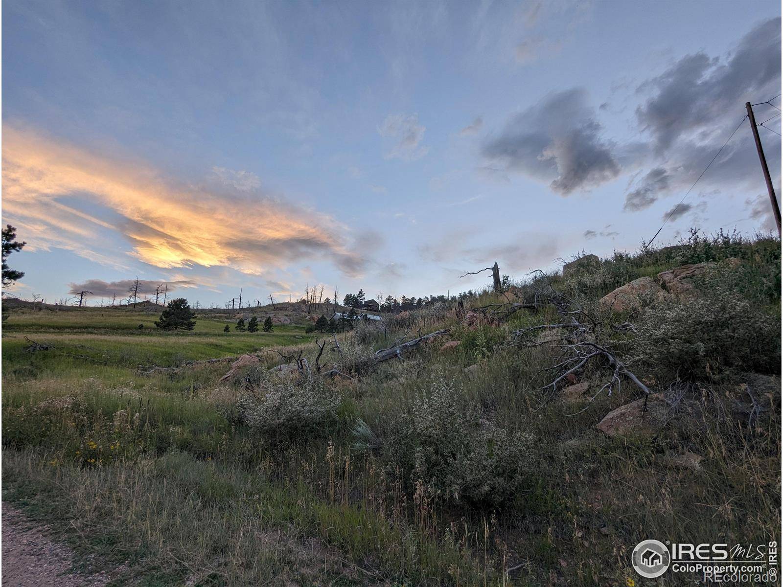 1737 Eiger RD, Livermore, CO 80536