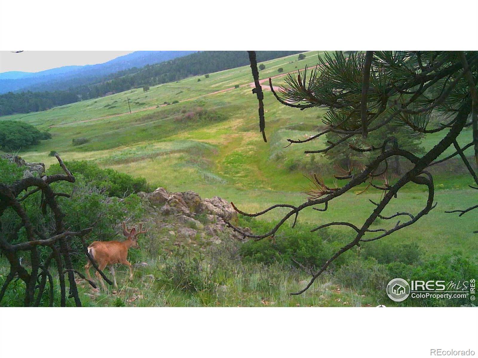 0 Cap Rock Roads #4, Canon City, CO 81212