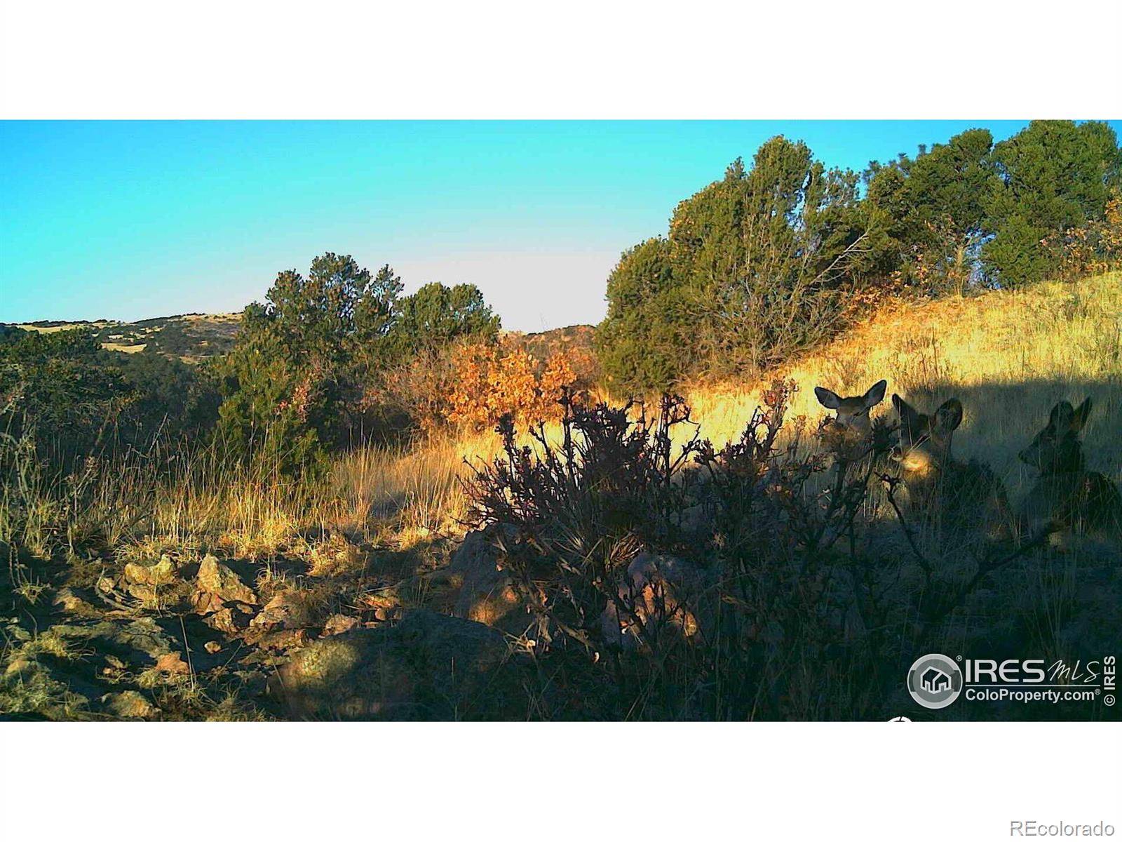 0 Cap Rock Roads #4, Canon City, CO 81212