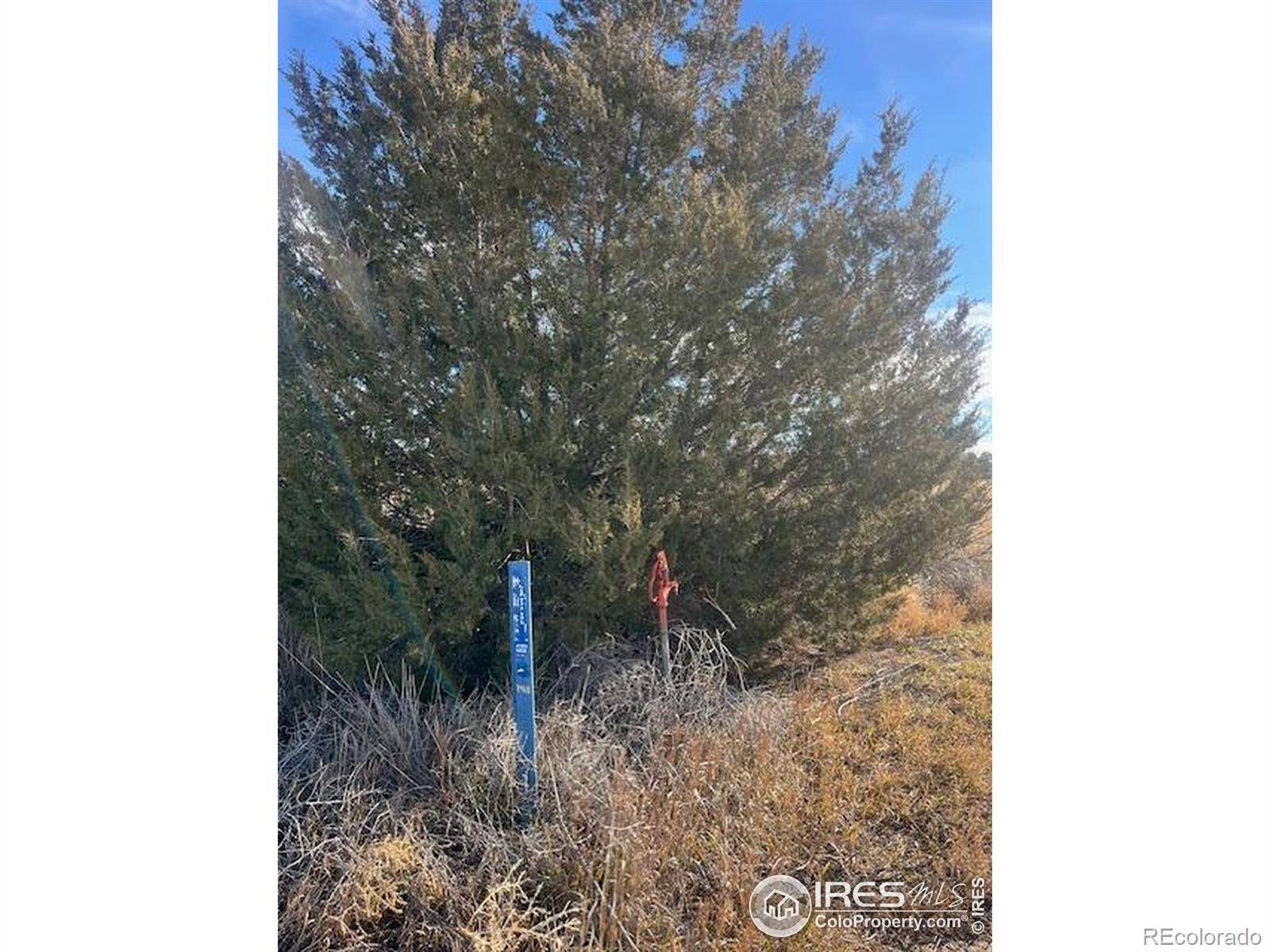4956 County Rd H, Wiggins, CO 80654
