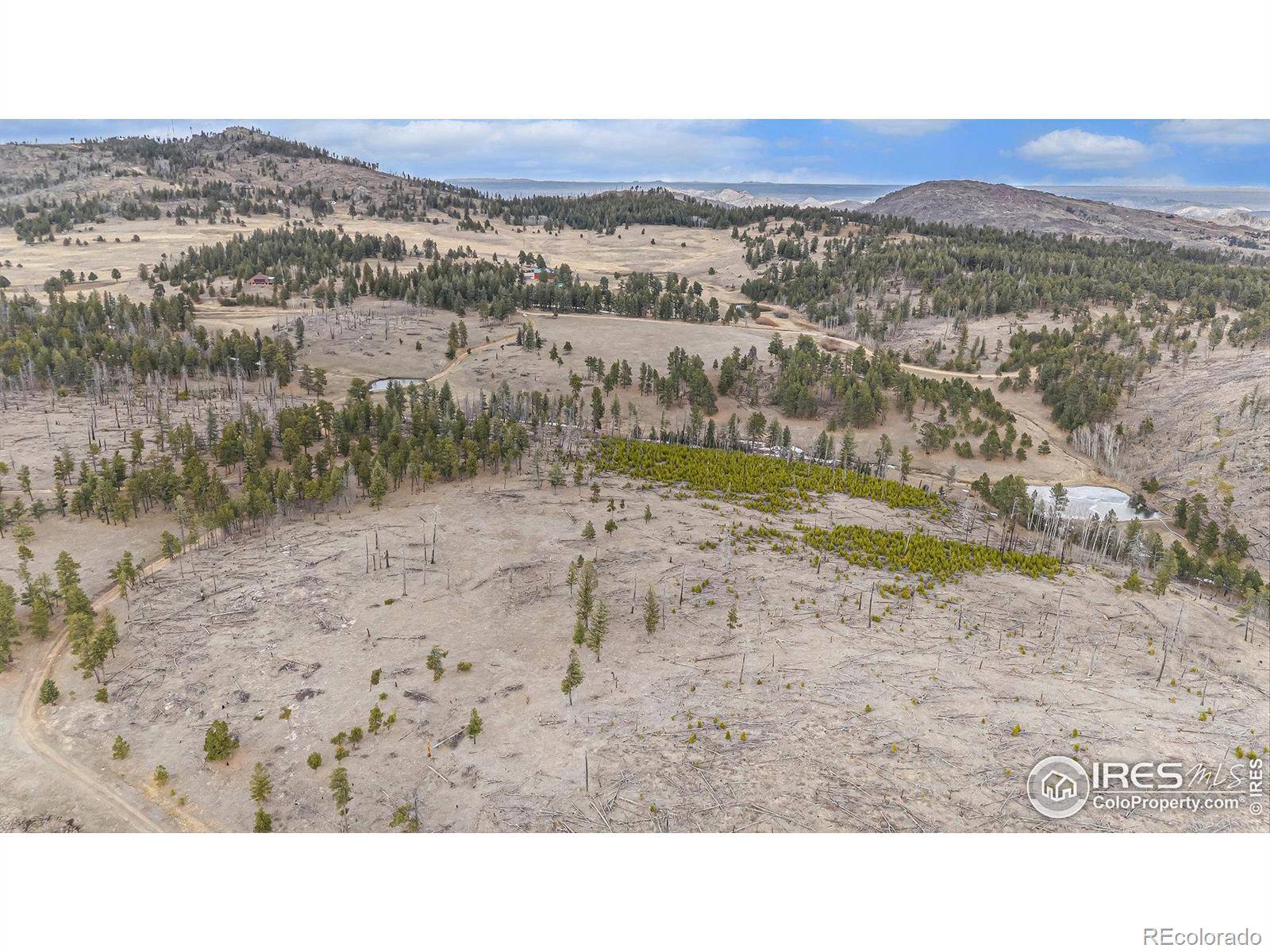 0 Tip Top RD, Bellvue, CO 80512