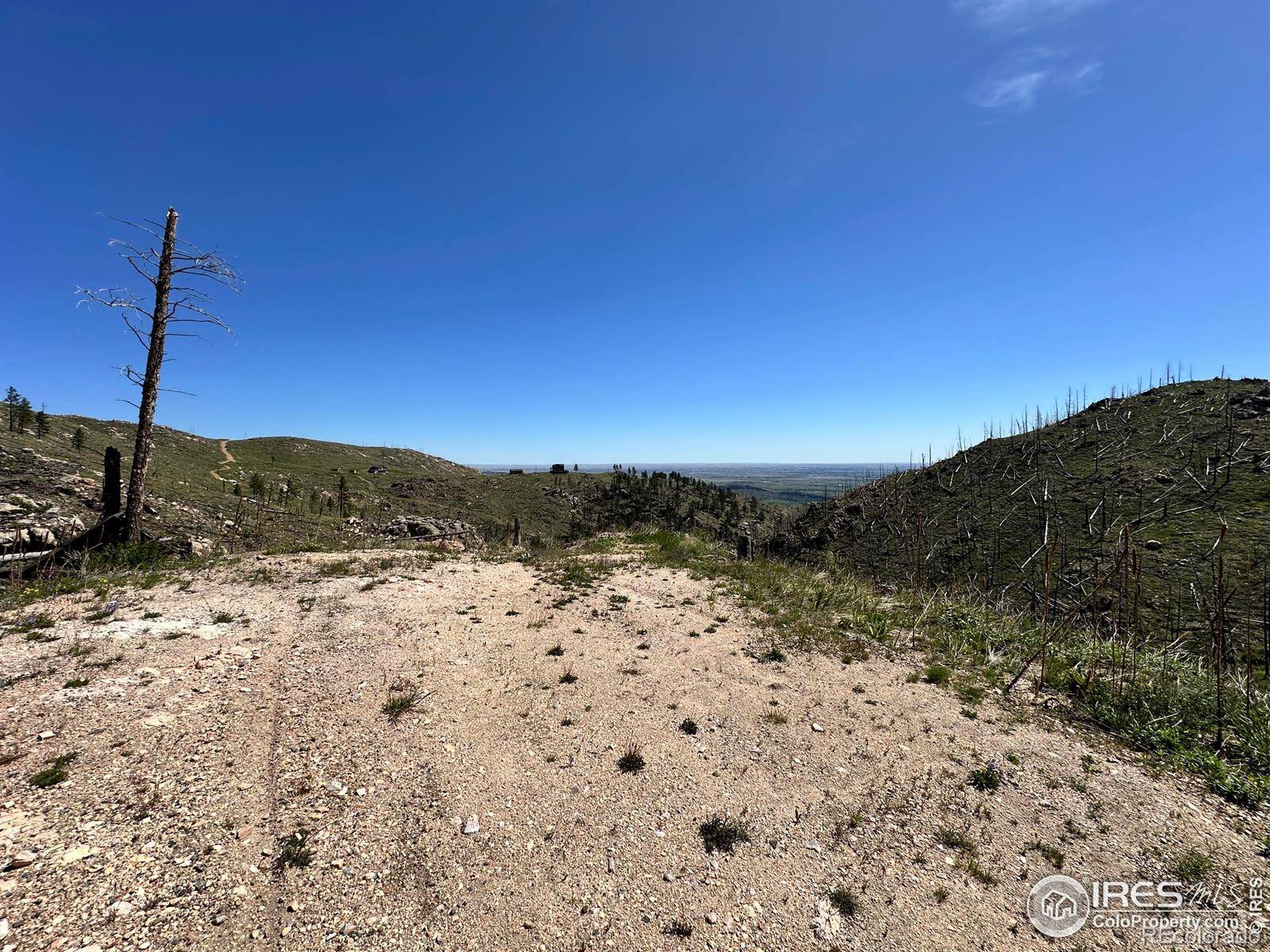 100 Canyon Gulch RD, Bellvue, CO 80512