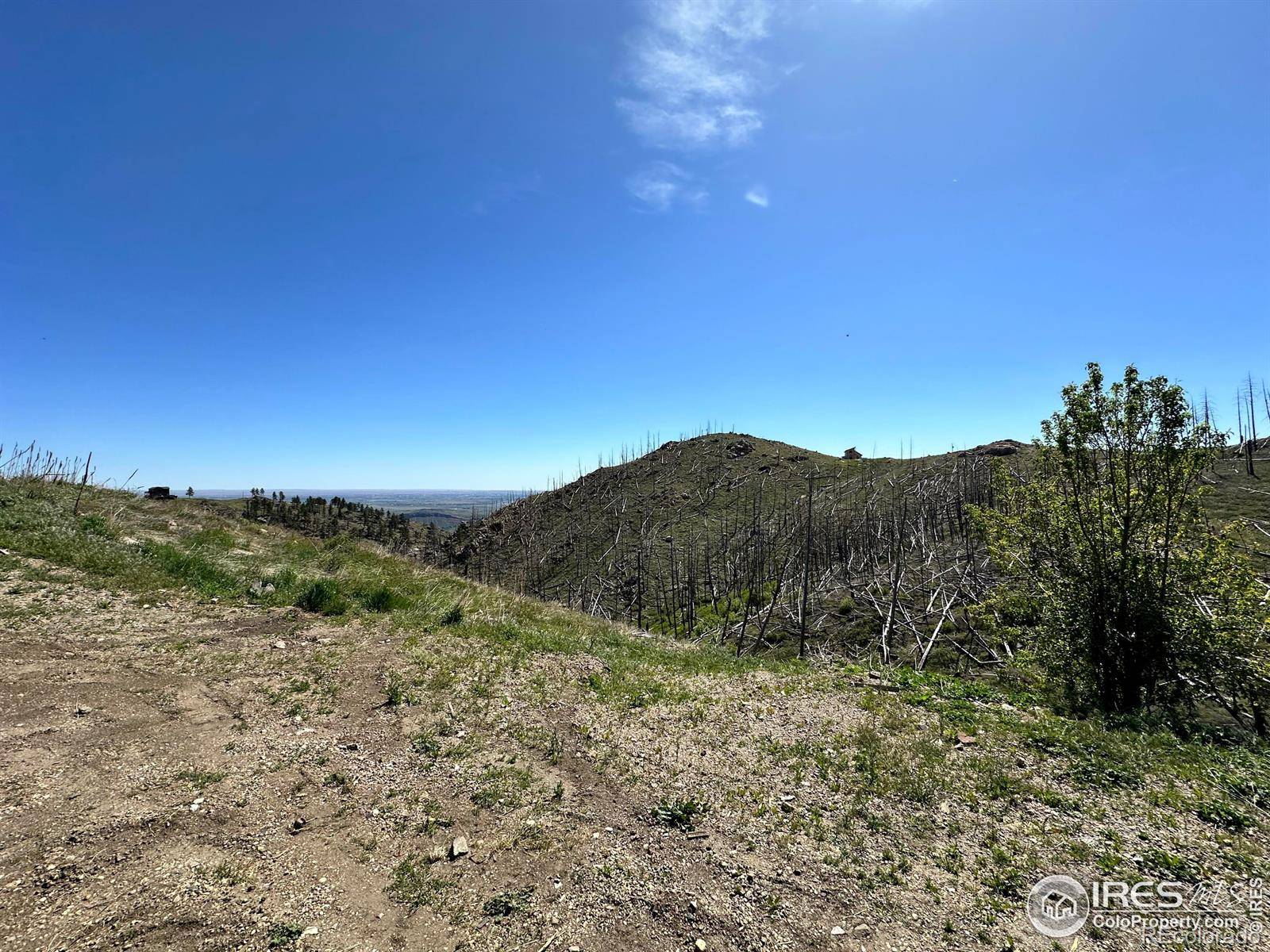 100 Canyon Gulch RD, Bellvue, CO 80512