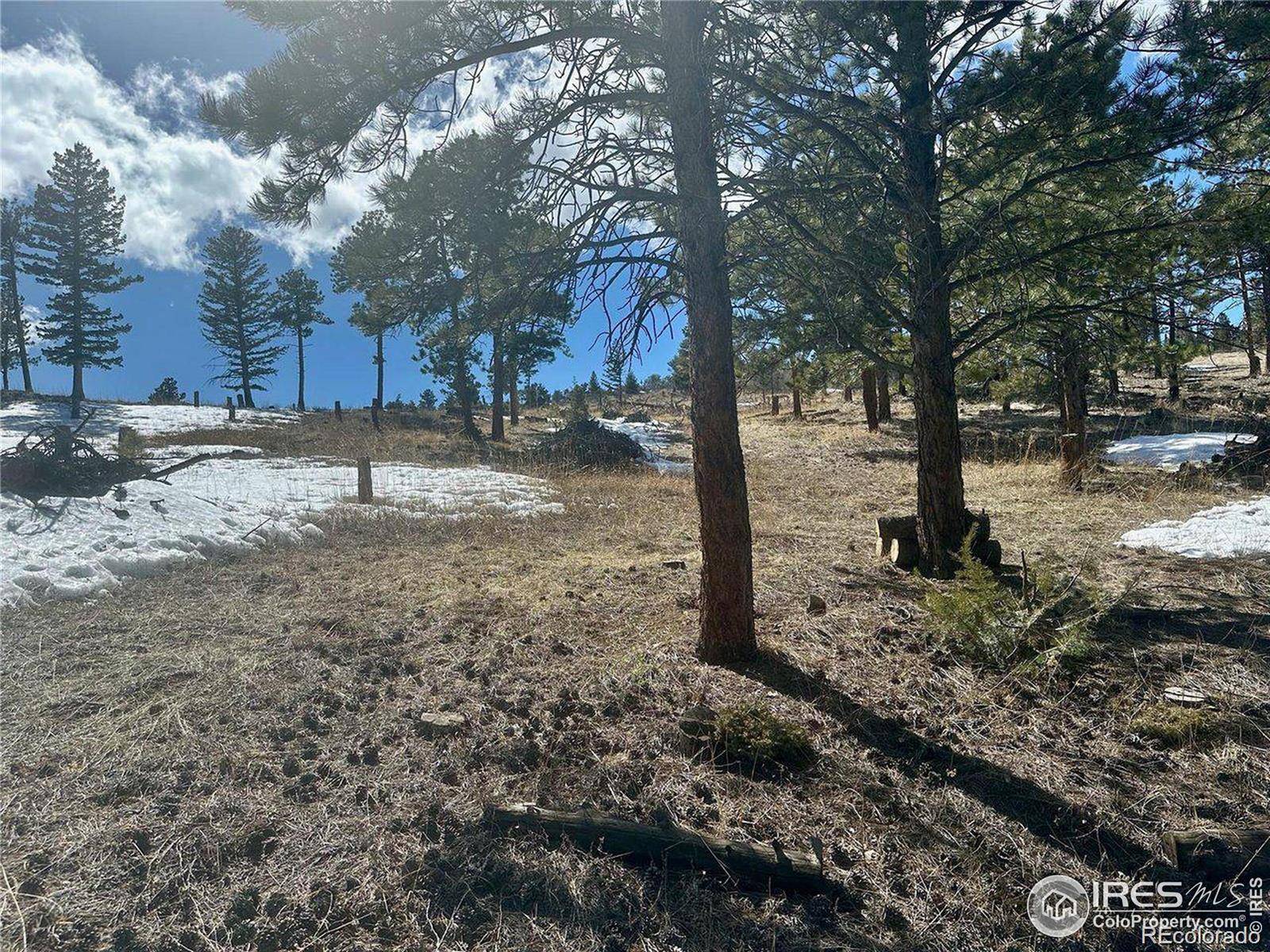 783 Dixon RD, Boulder, CO 80302