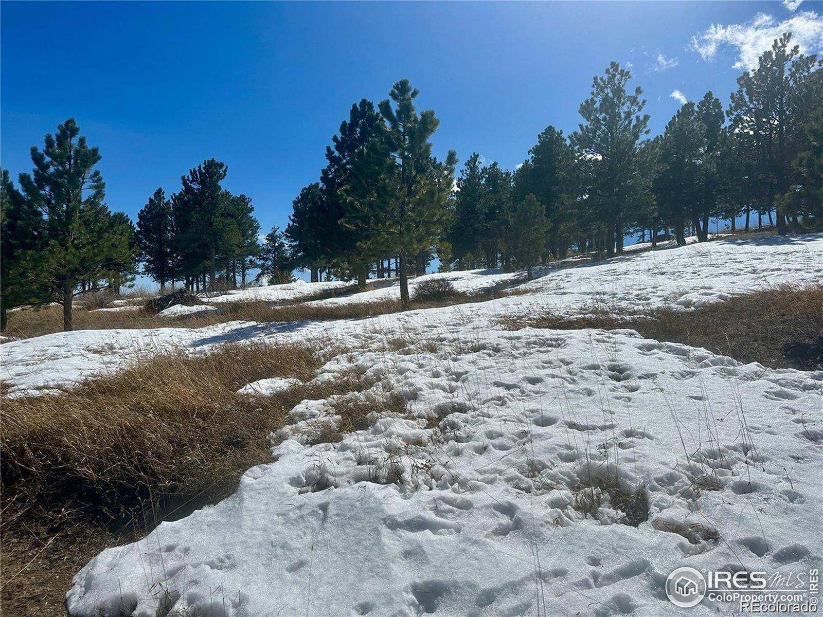 783 Dixon RD, Boulder, CO 80302