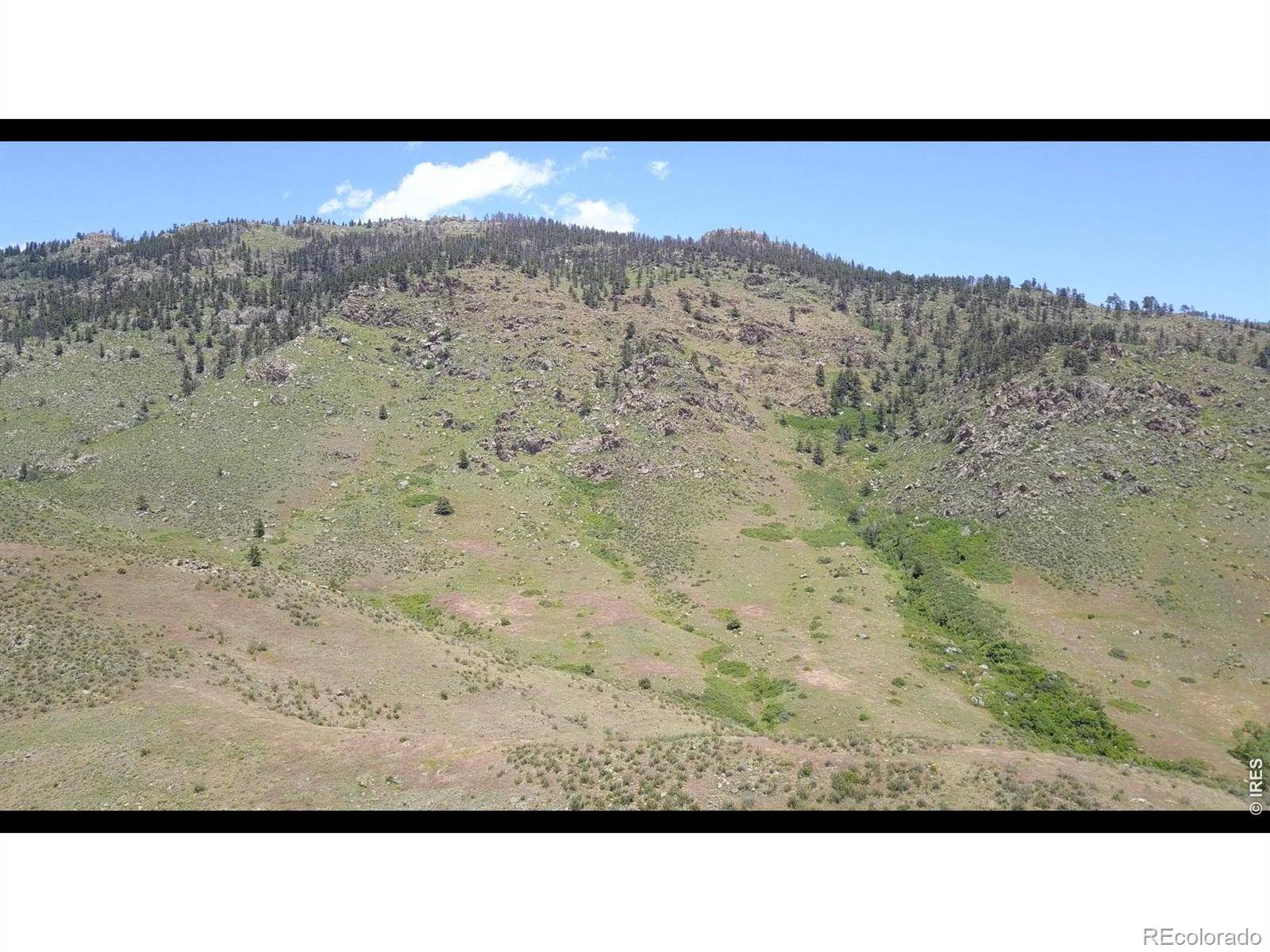 14750 Buckhorn RD, Loveland, CO 80538