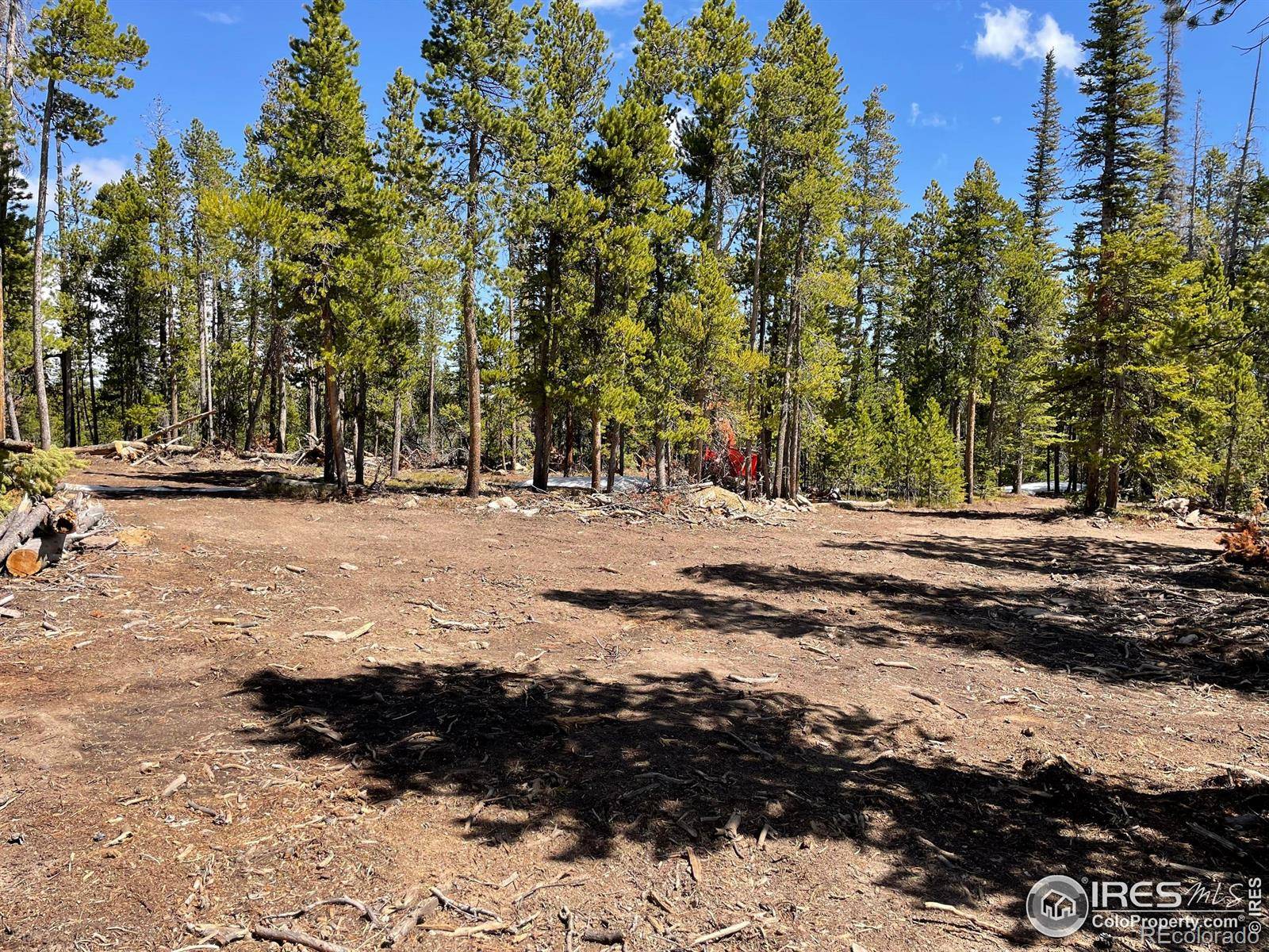 0 Forest Service 169 RD #Parcel #3, Red Feather Lakes, CO 80545