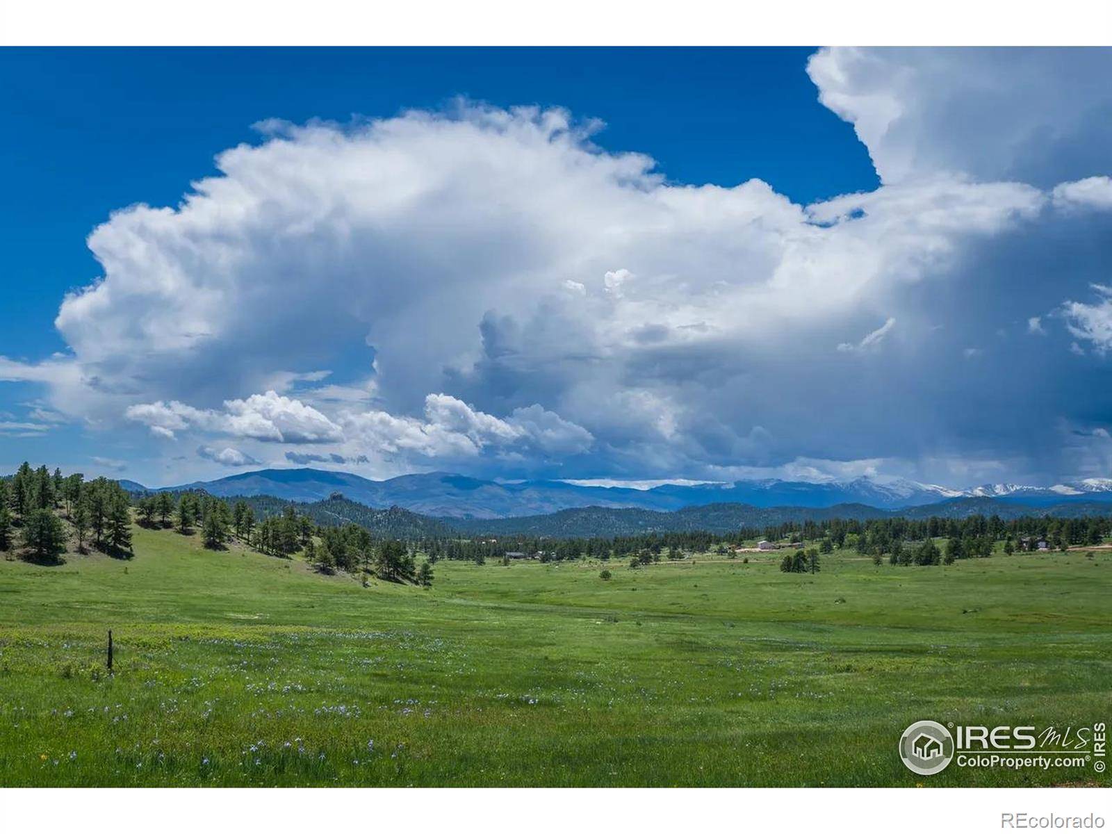 Mountain Pony RD, Livermore, CO 80536