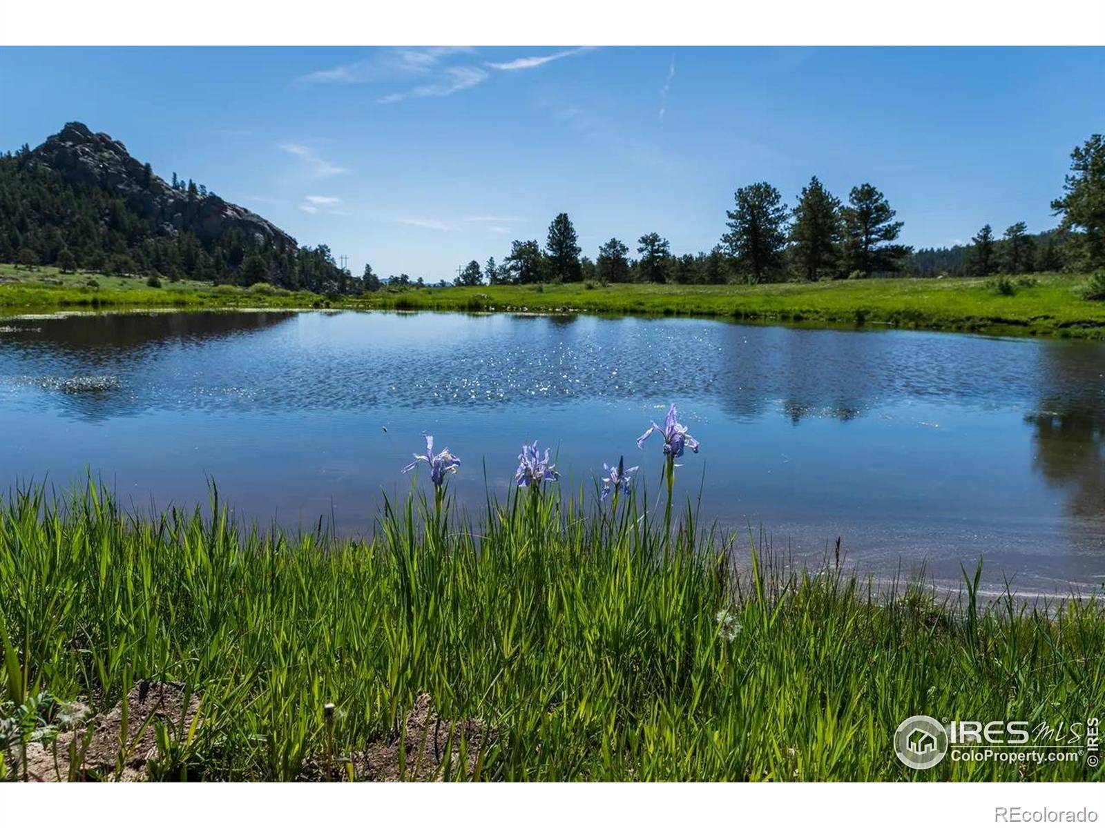 Shoshana Ranch RD, Livermore, CO 80536