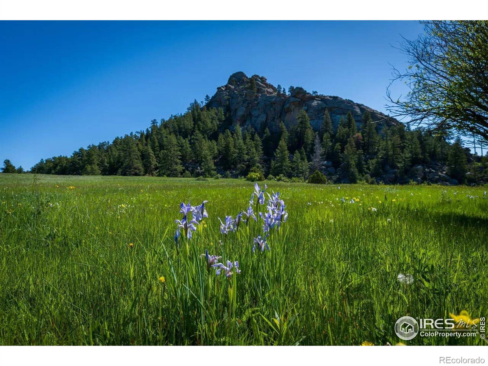 Shoshana Ranch RD, Livermore, CO 80536