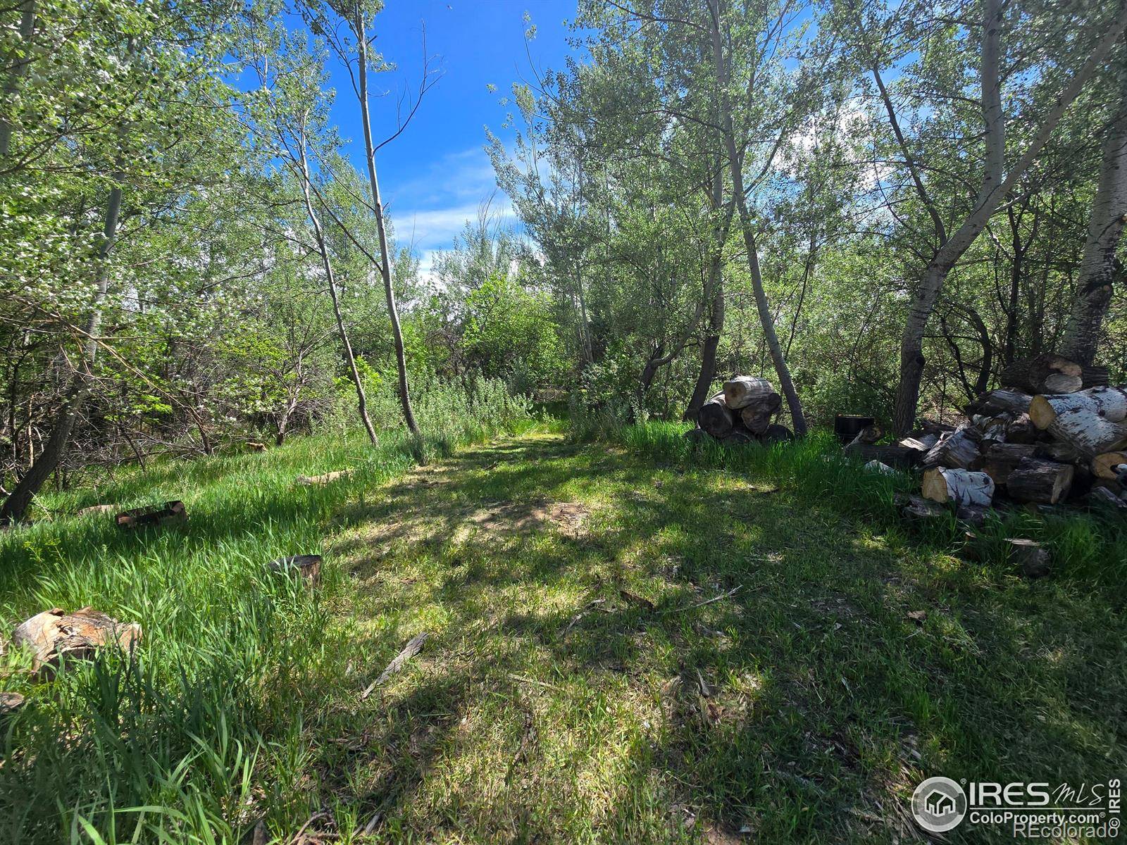 2001 W Prospect RD, Fort Collins, CO 80526