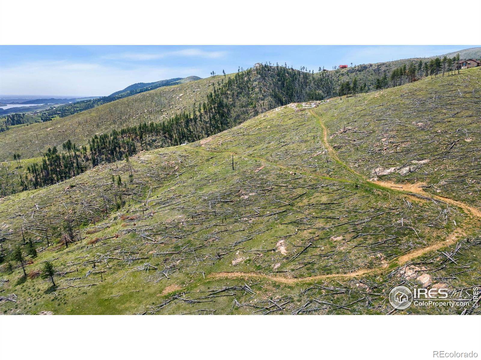 898 Hernia Hill TRL, Bellvue, CO 80512