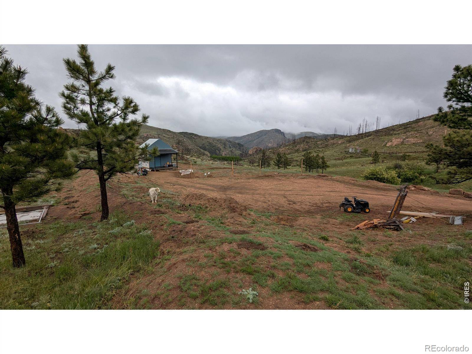 42 Smokey Mountain CT, Livermore, CO 80536
