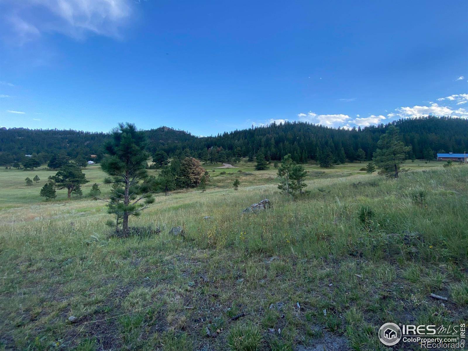 78 Mount Champion DR, Livermore, CO 80536