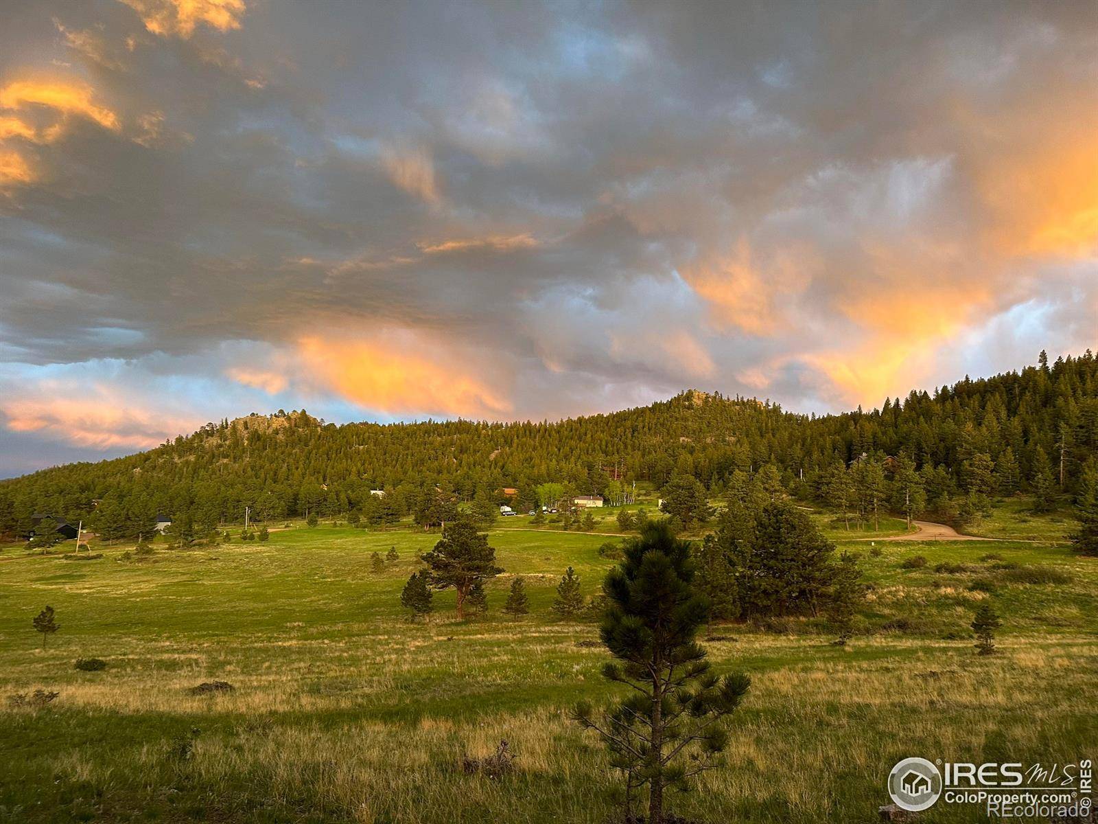 78 Mount Champion DR, Livermore, CO 80536