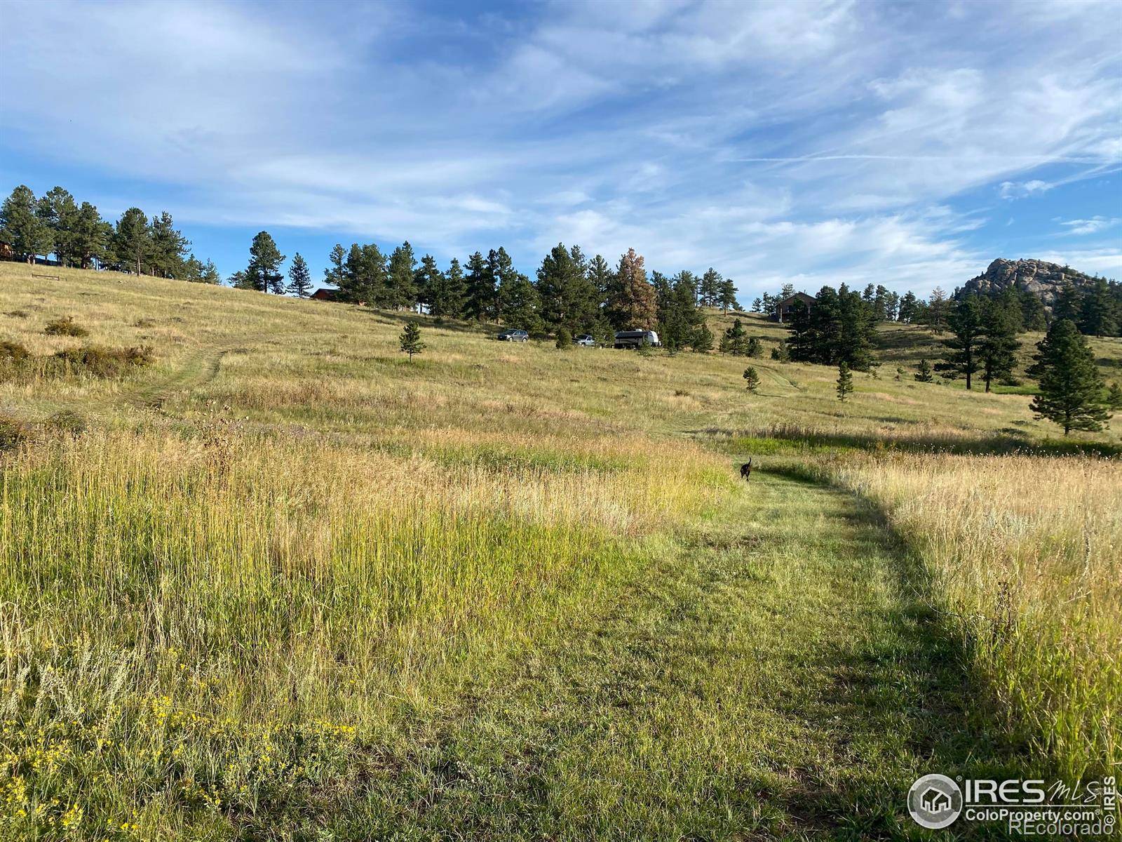 78 Mount Champion DR, Livermore, CO 80536