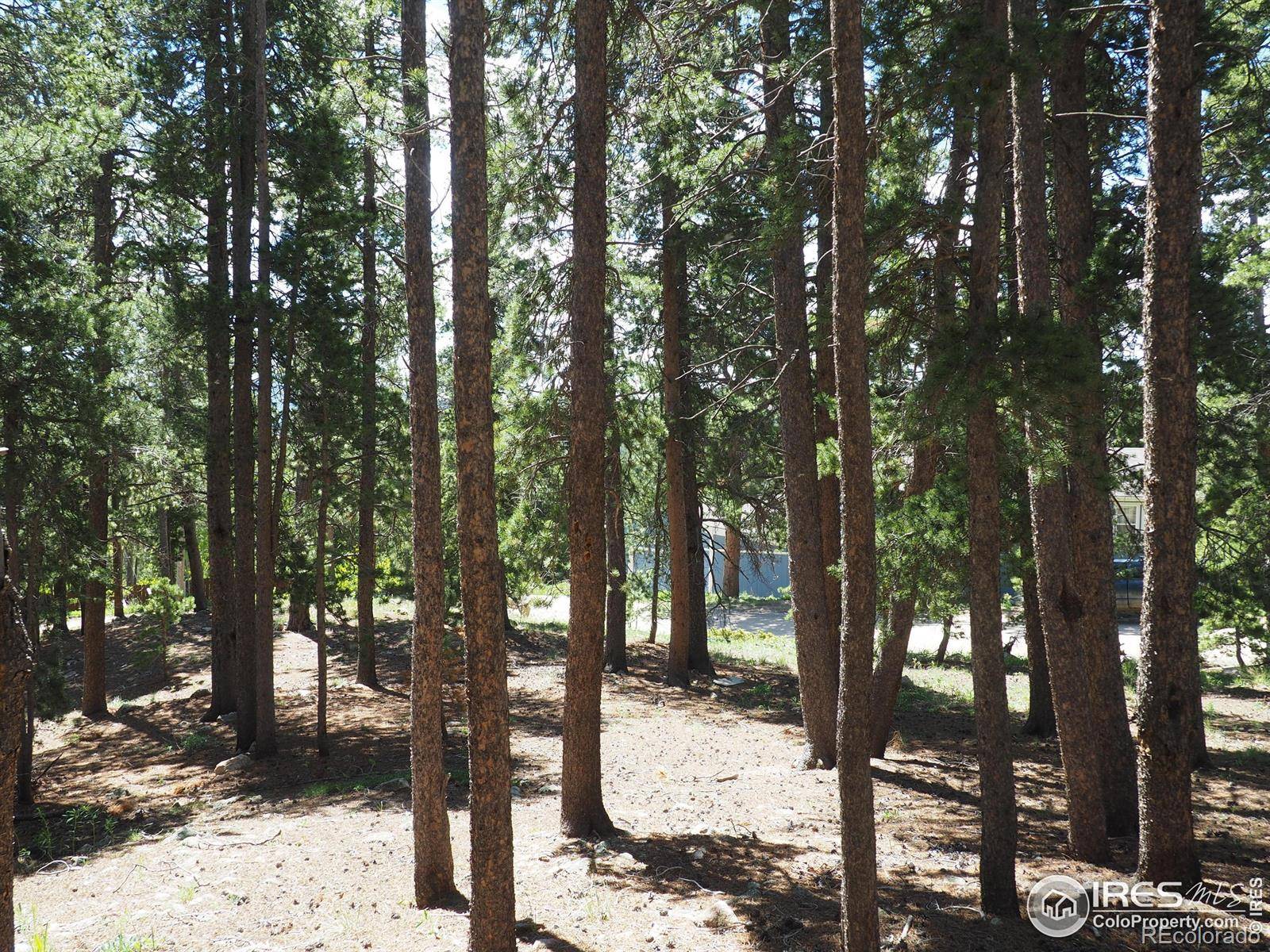 0 Caesar RD, Black Hawk, CO 80422