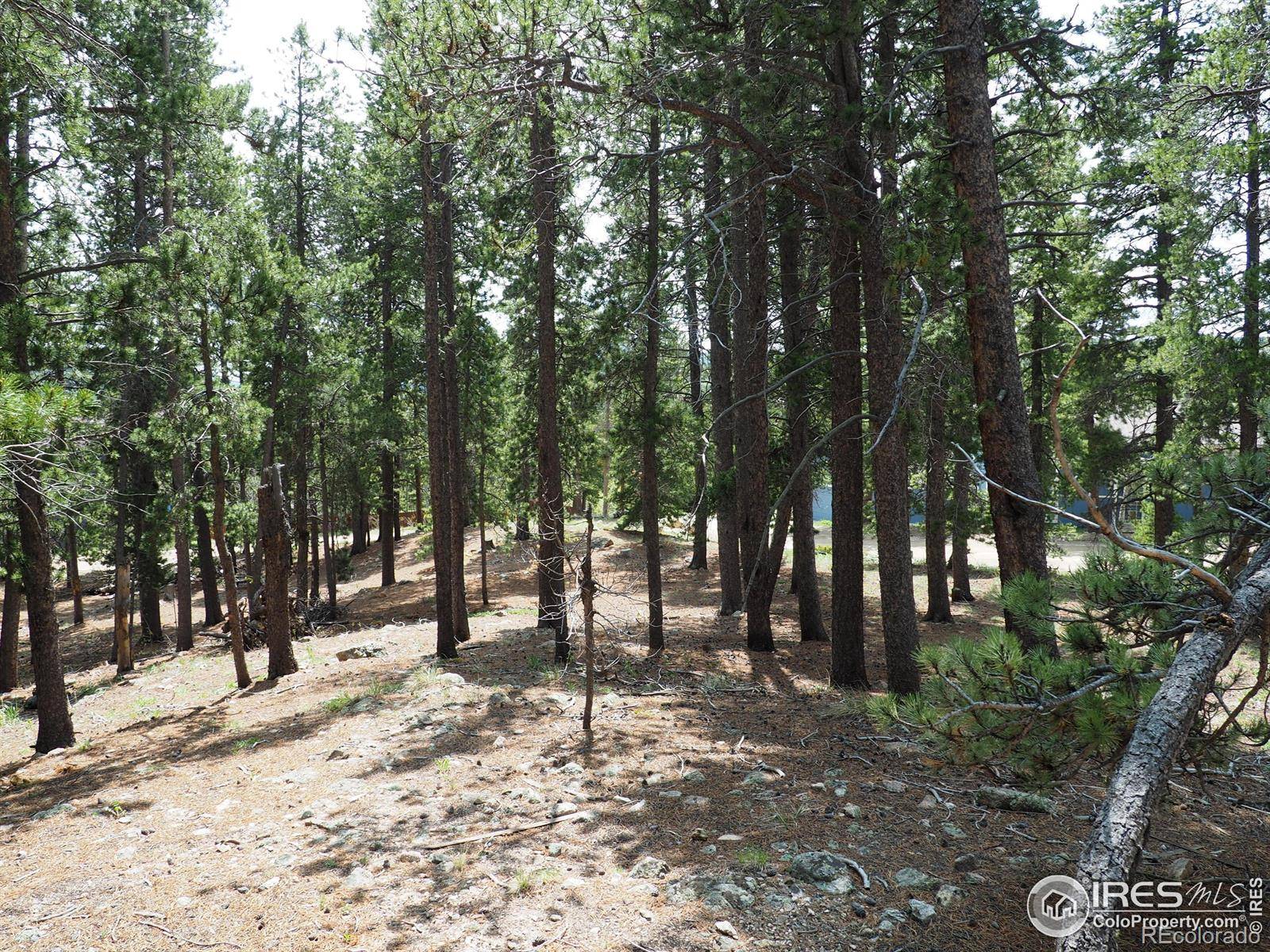 0 Caesar RD, Black Hawk, CO 80422