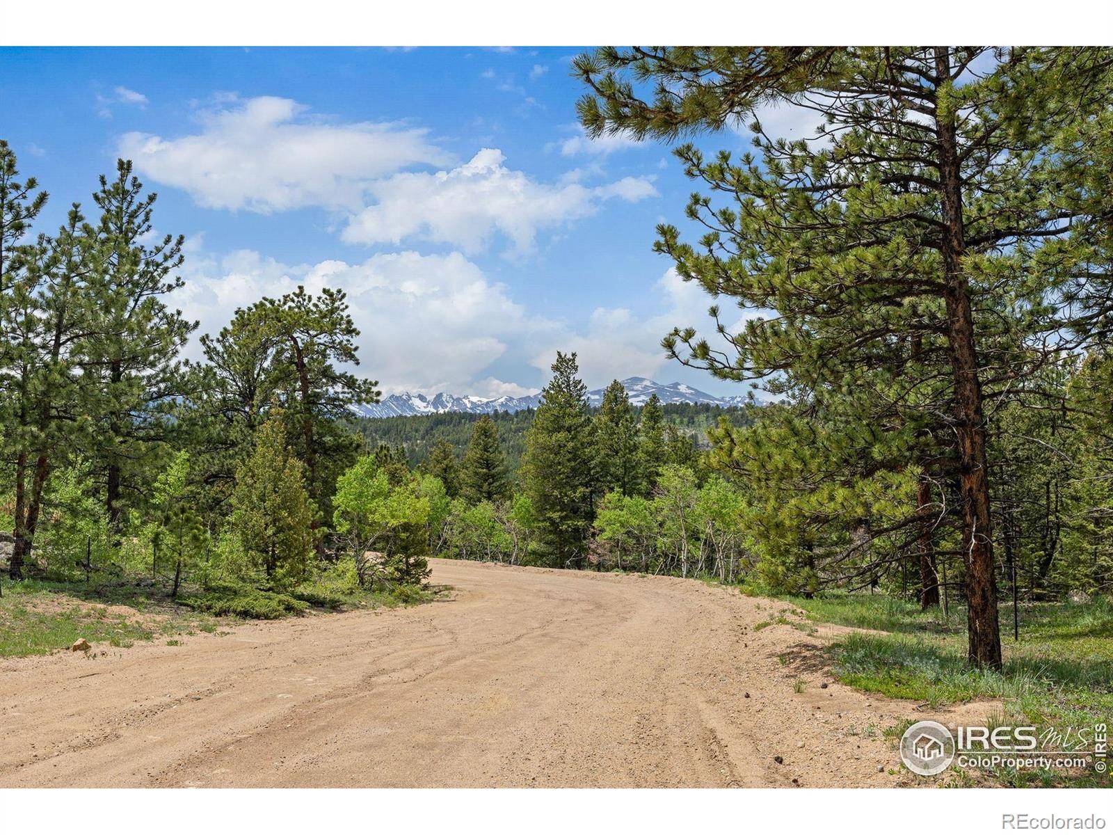 398 Overland DR, Ward, CO 80481