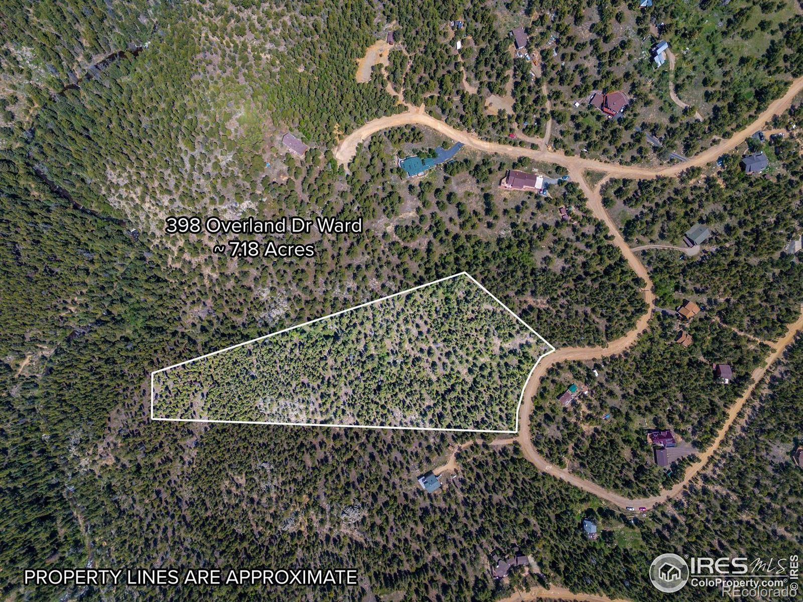 398 Overland DR, Ward, CO 80481