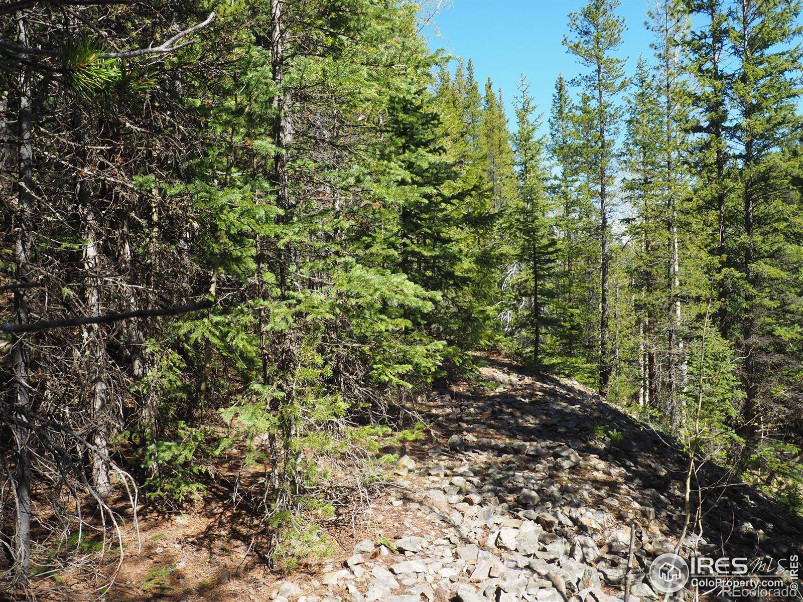 0 Gamble Gulch, Black Hawk, CO 80422