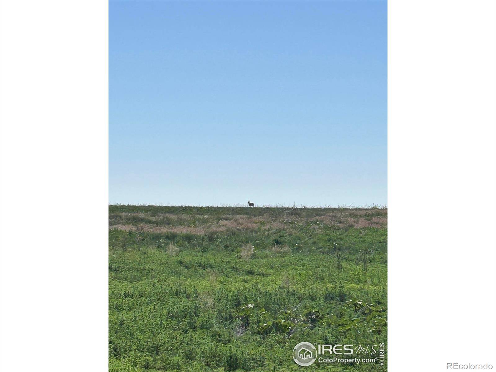 0 CR 74, Briggsdale, CO 80611