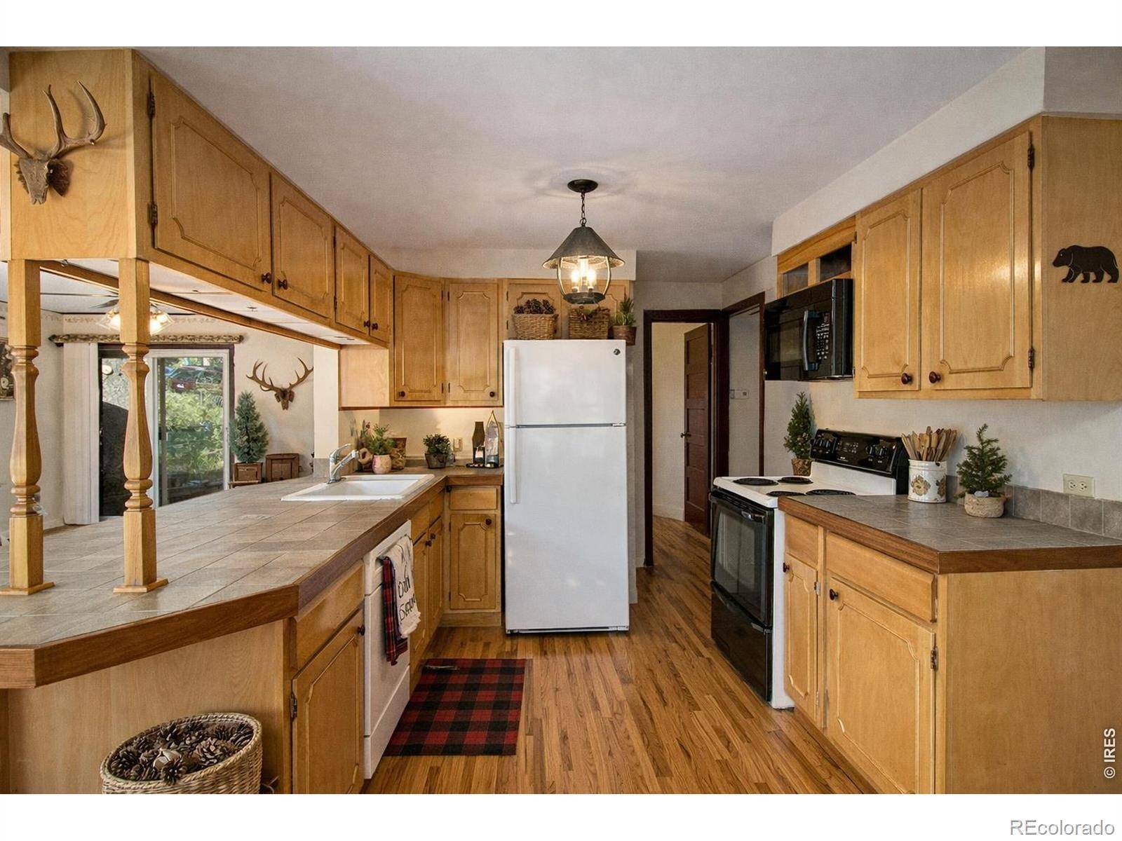 1141 Wallace LN, Estes Park, CO 80517