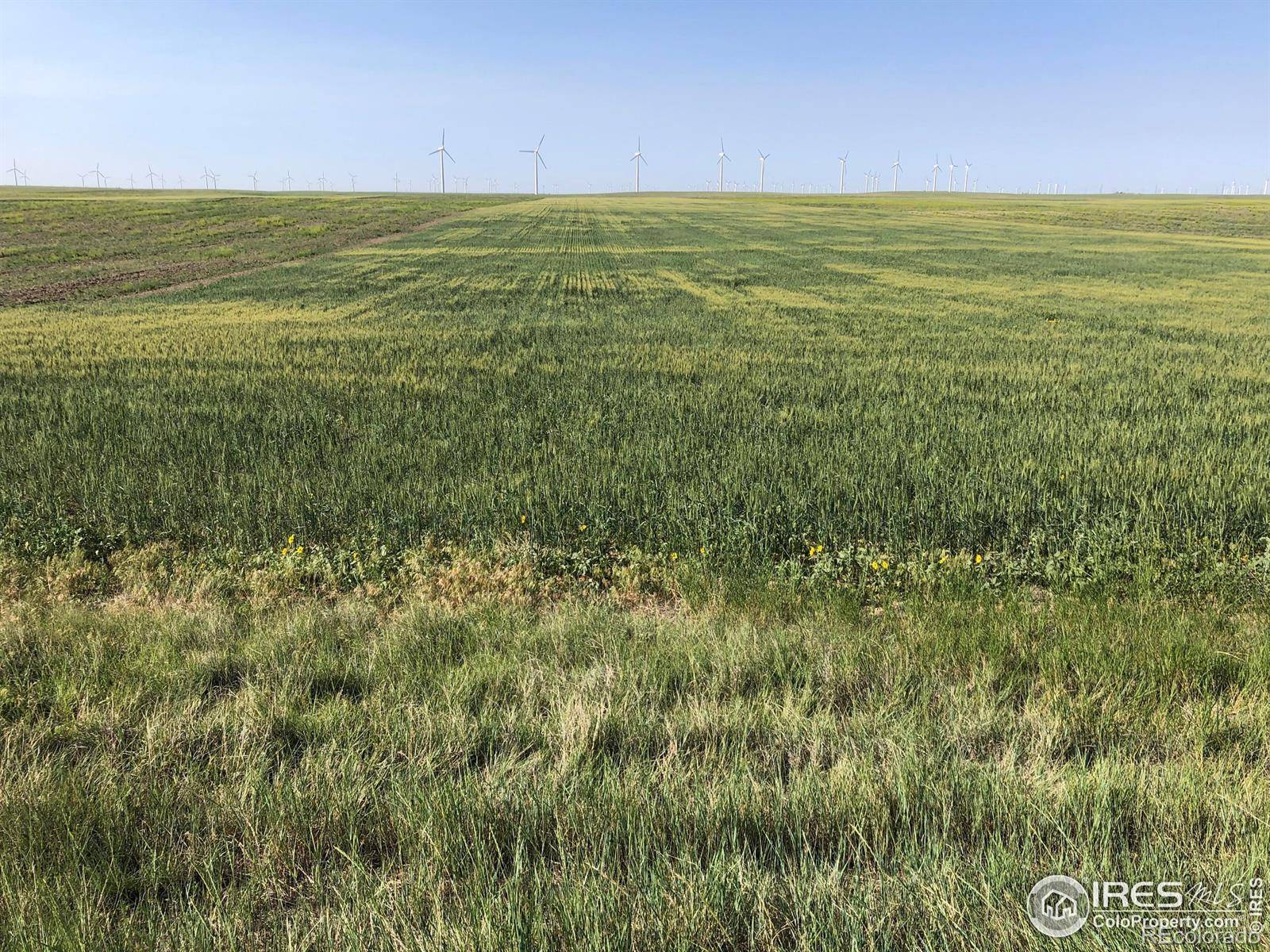 0 WCR 105, Grover, CO 80729