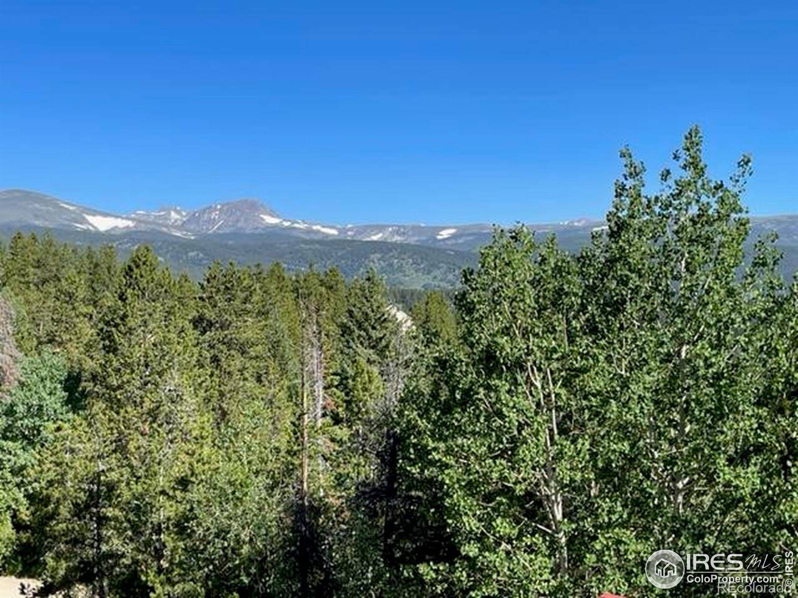 8 Valley View DR, Nederland, CO 80466