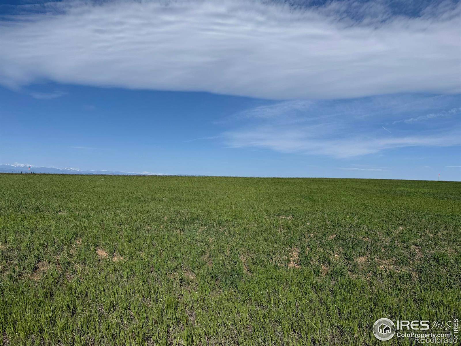 1 TBD FFD25-0005 LotA CO Road 15, Carr, CO 80612