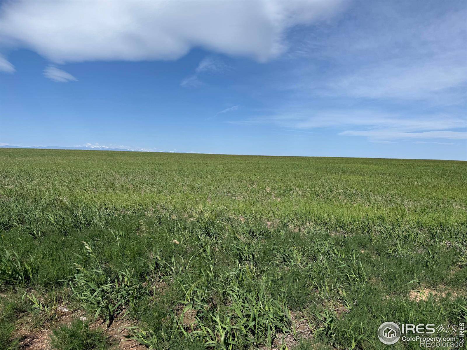 1 TBD FFD25-0005 LotA CO Road 15, Carr, CO 80612