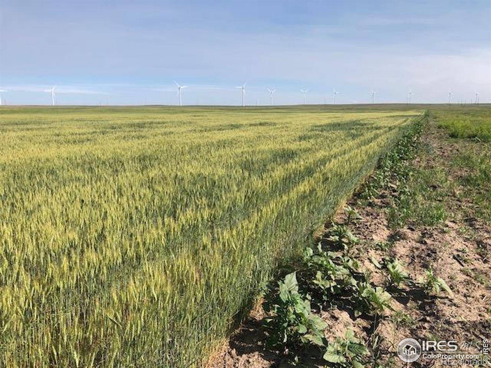 0 CR 70, Briggsdale, CO 80611
