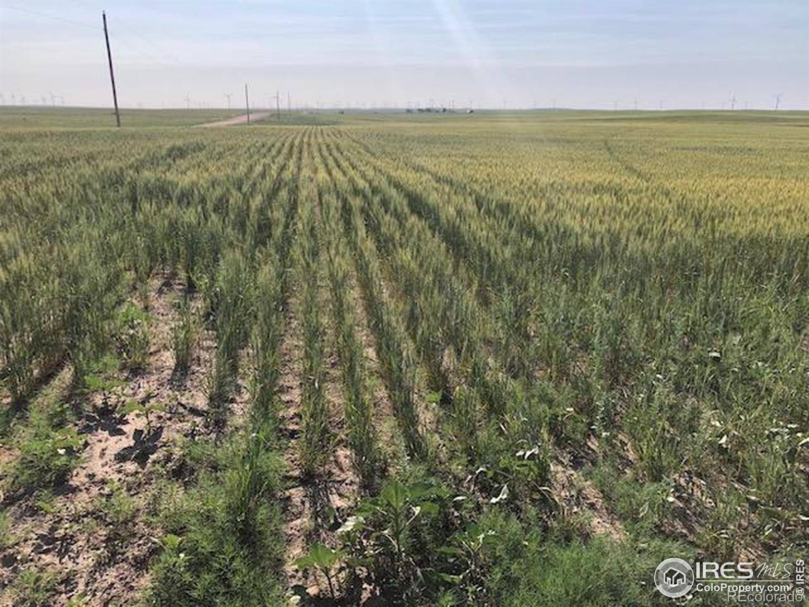 0 CR 70, Briggsdale, CO 80611