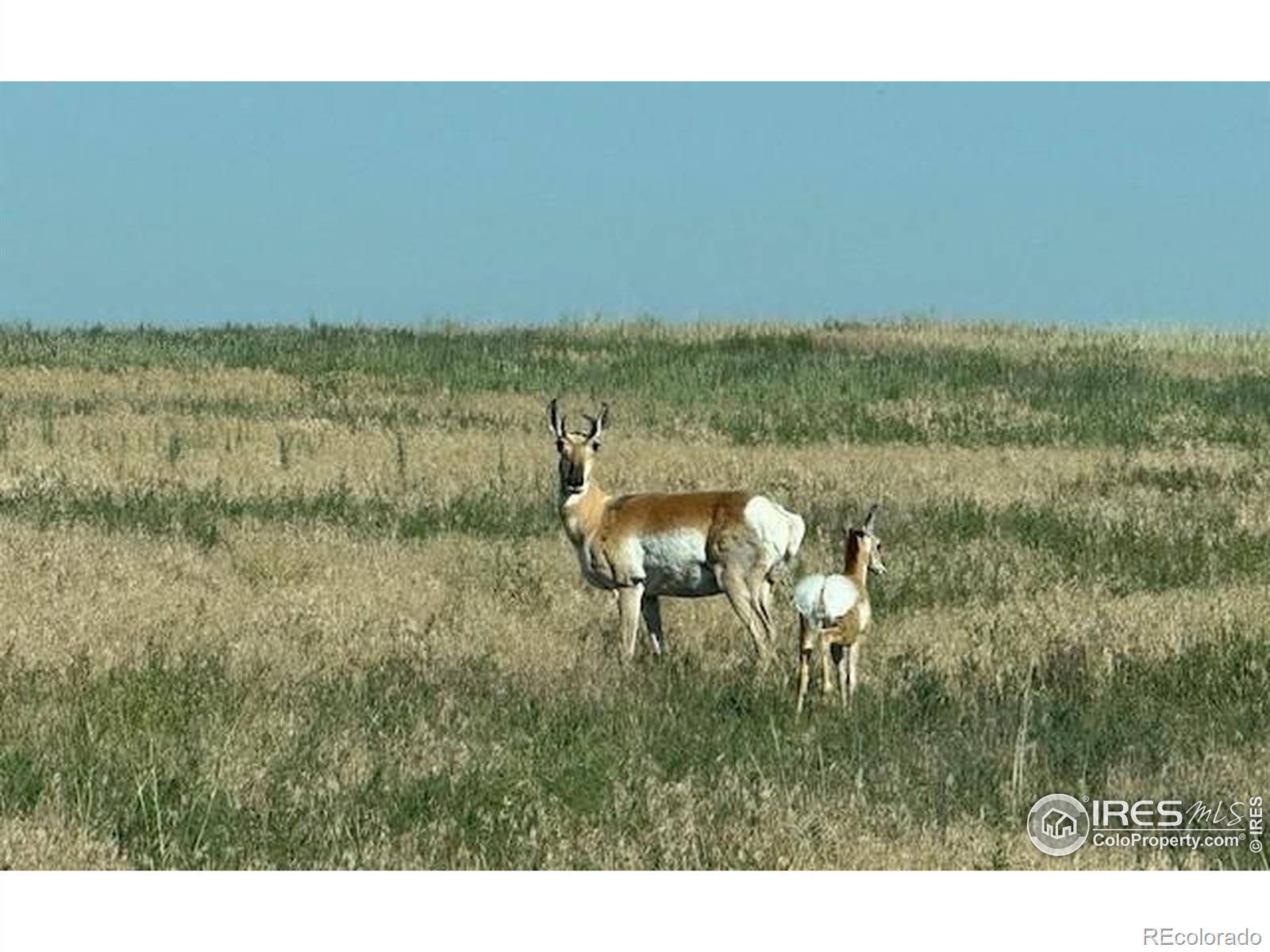 3 TBD Lot A FFD25-0006 WCR 15, Carr, CO 80612