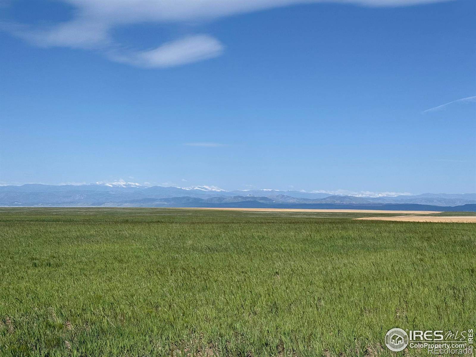 3 TBD Lot B FFD25-0006 WCR 15, Carr, CO 80612