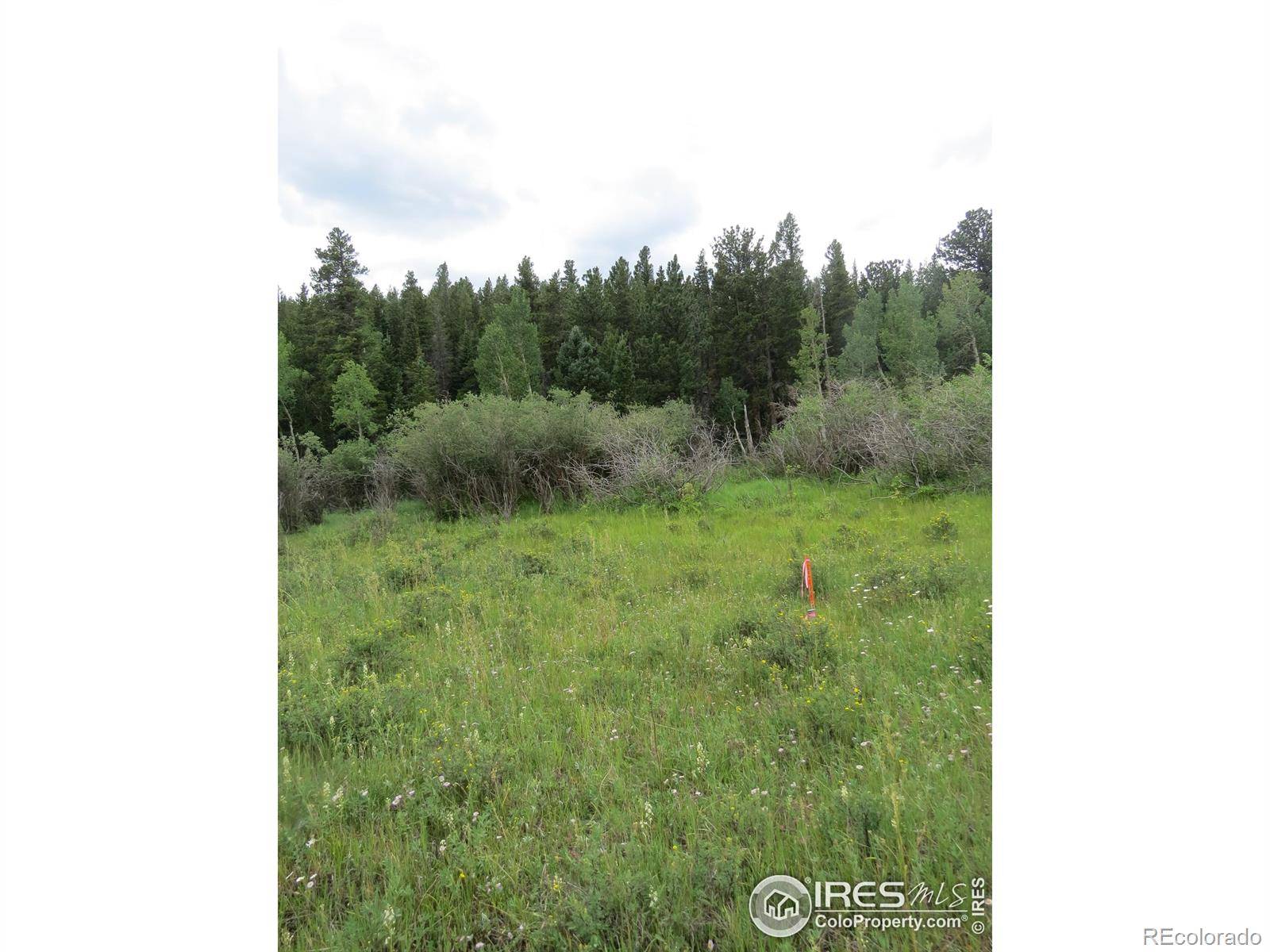 0 Peak to Peak HWY, Nederland, CO 80466