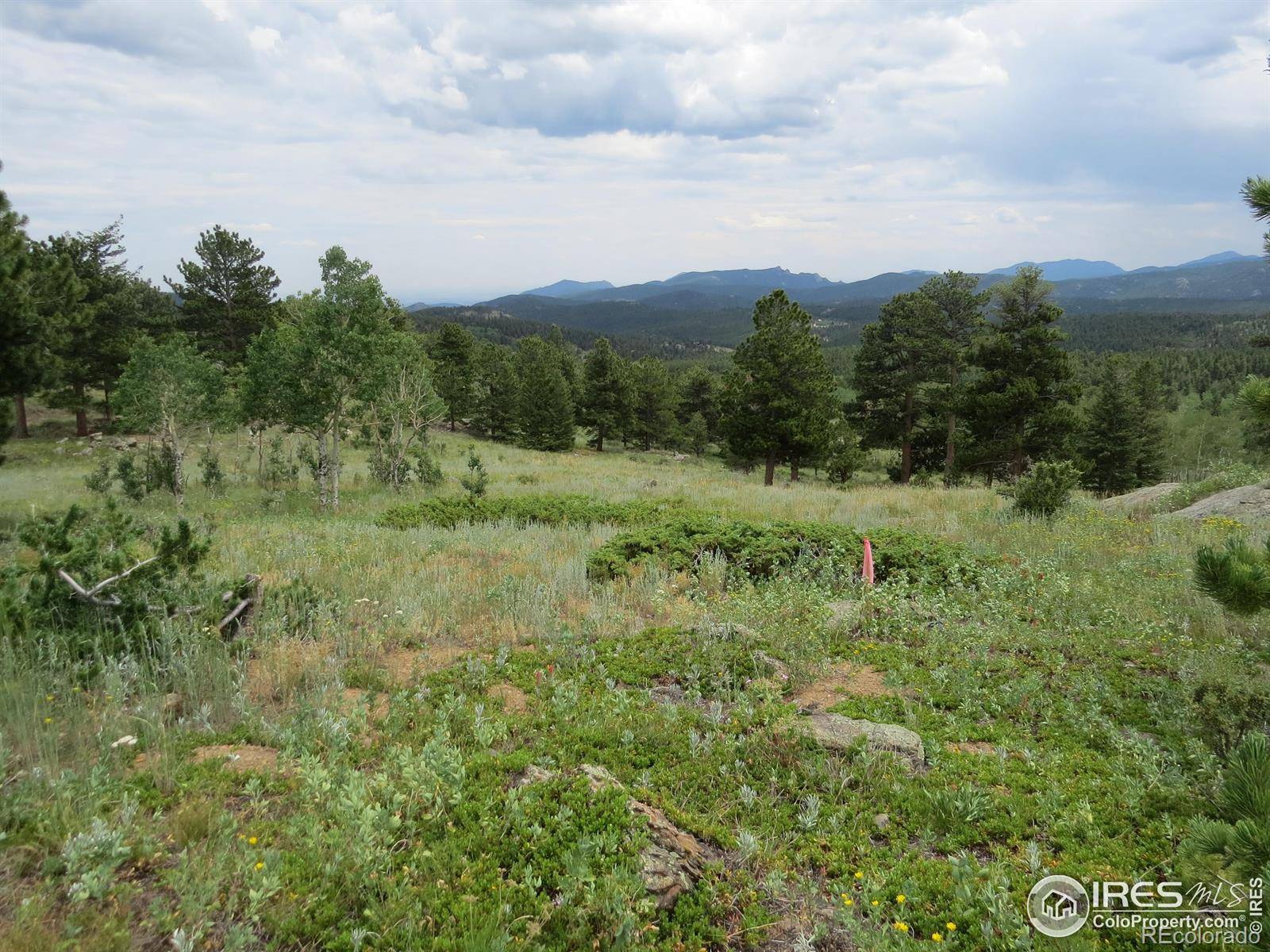 0 Peak to Peak HWY, Nederland, CO 80466
