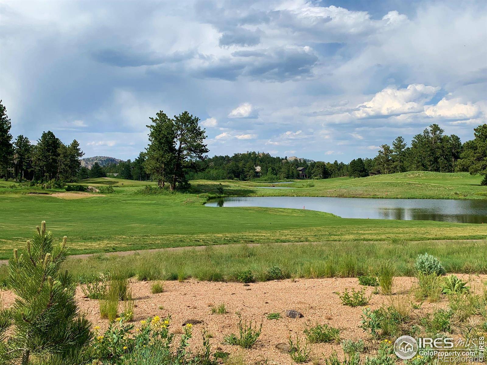 3 Fox Meadow LN #Lot 3, Red Feather Lakes, CO 80545