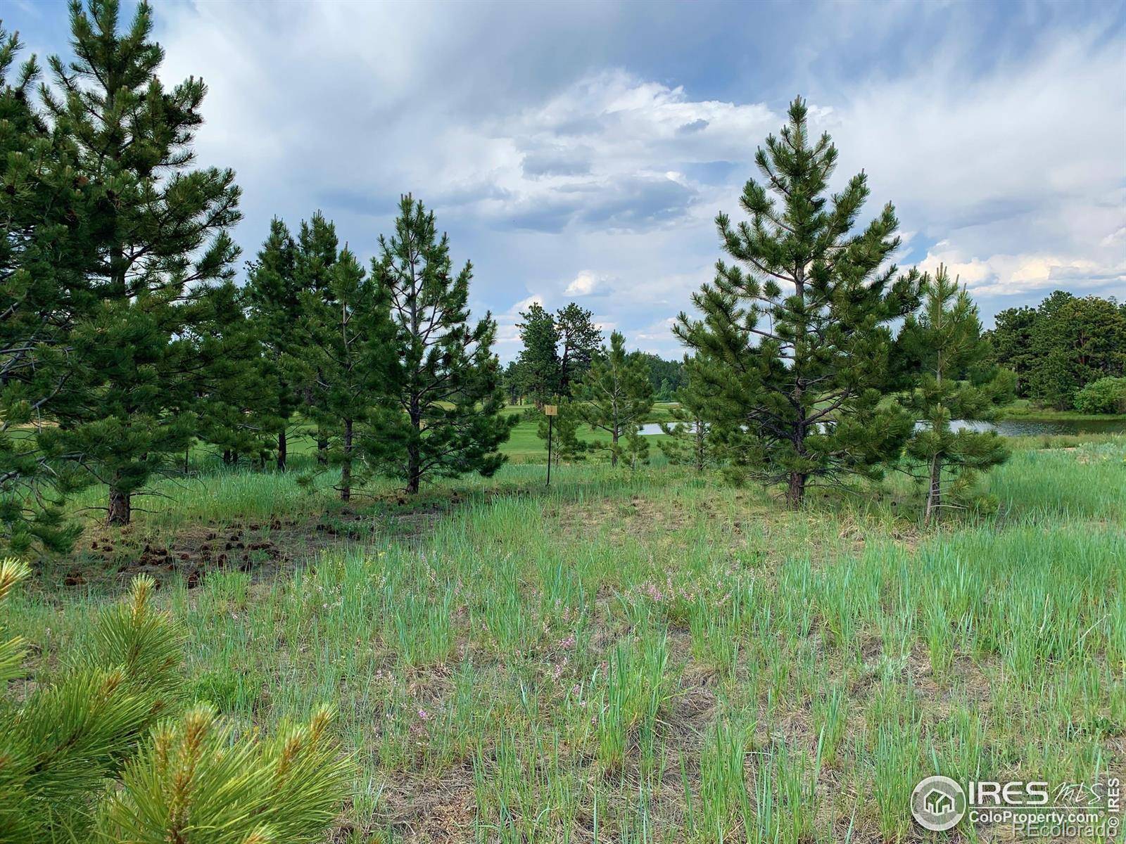 3 Fox Meadow LN #Lot 3, Red Feather Lakes, CO 80545