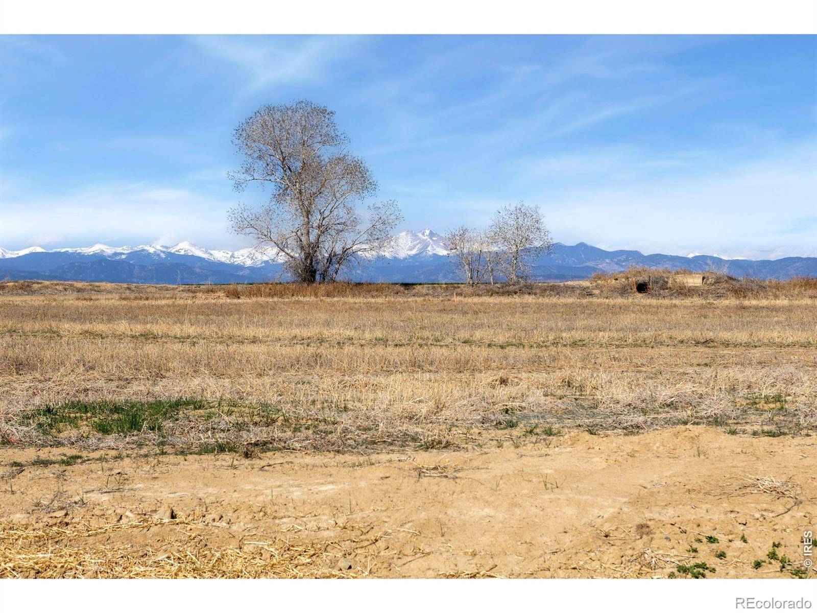 15287 Ypsilon CIR, Mead, CO 80542