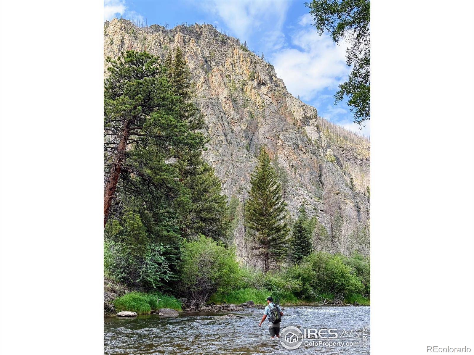 37797 W Highway 14, Bellvue, CO 80512