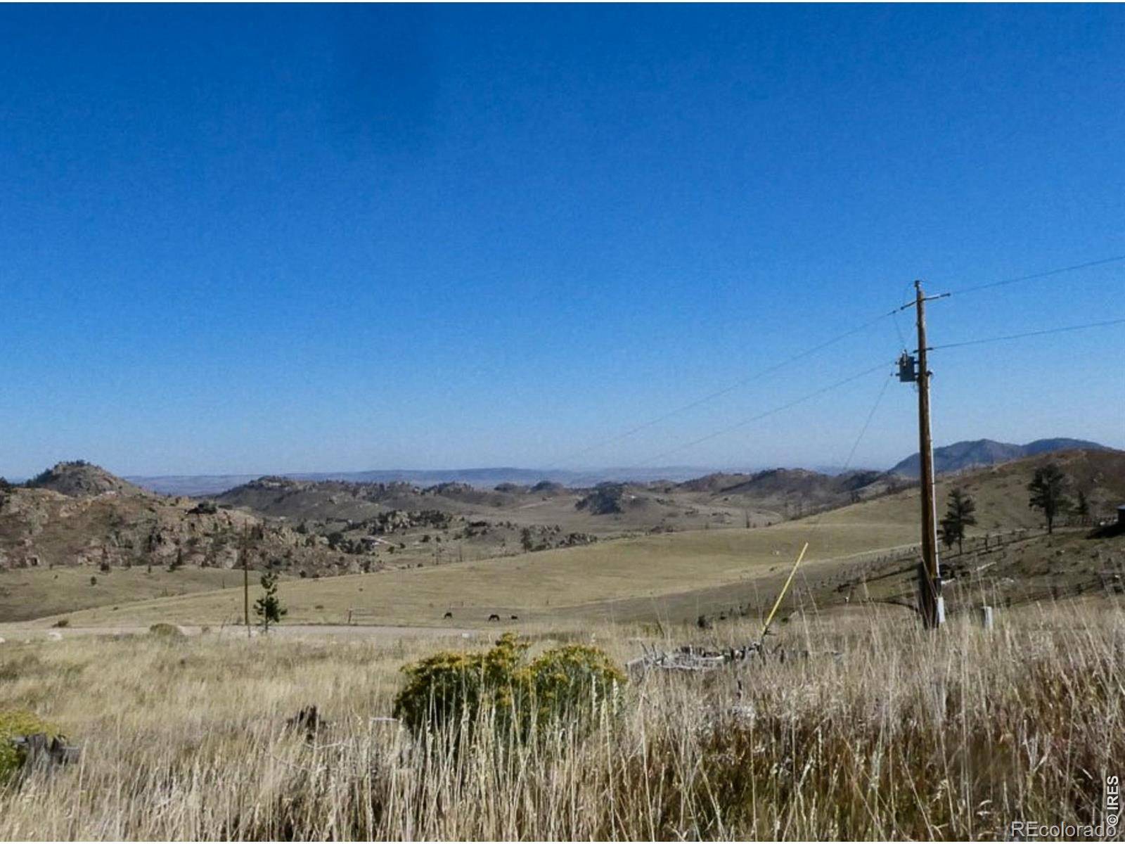 59 Bobcat Mountain CT, Livermore, CO 80536