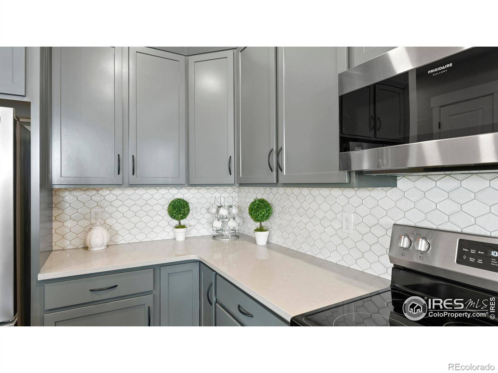6227 Vernazza WAY #1, Windsor, CO 80550