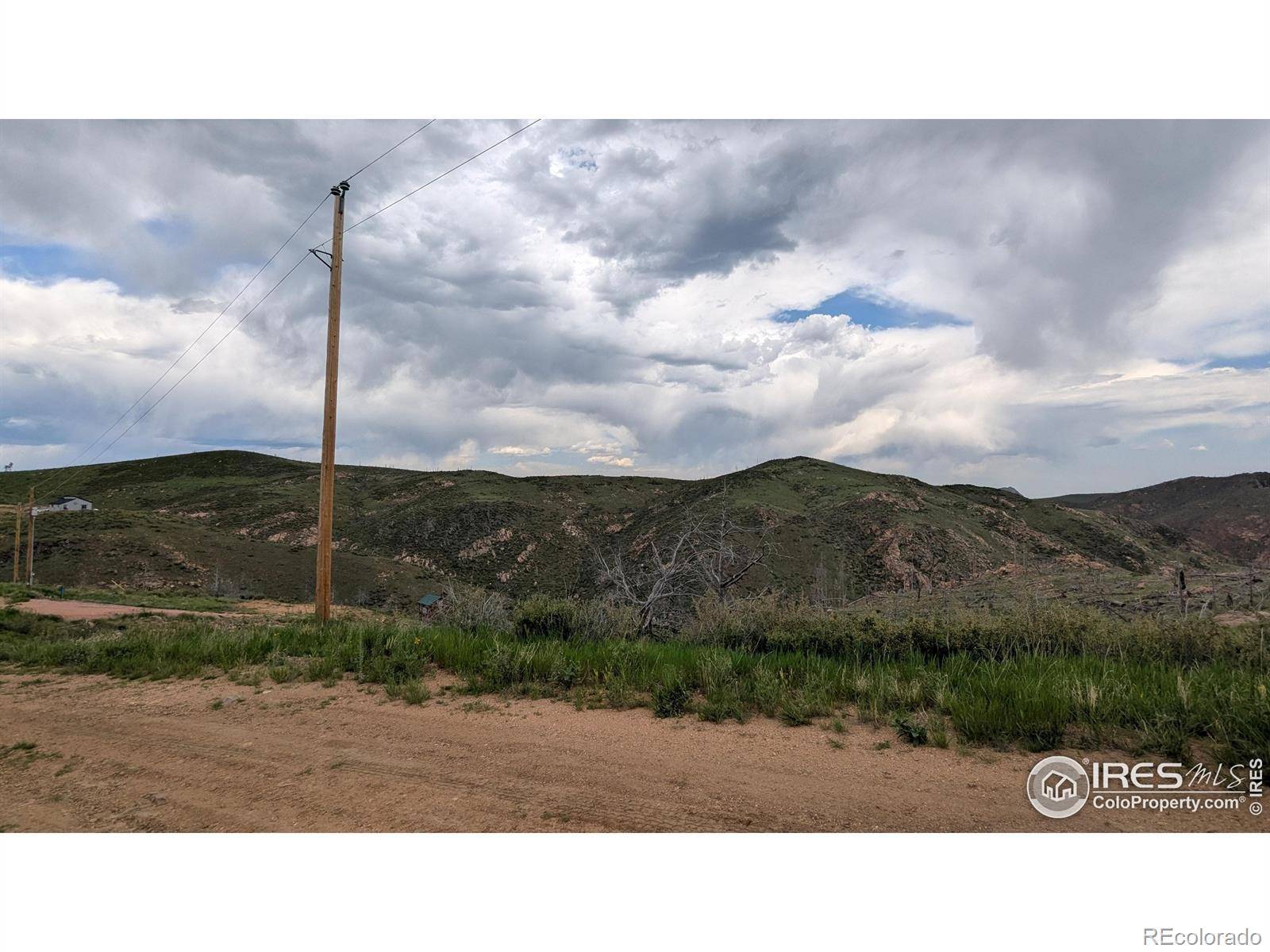 1324 Meadow Mountain DR, Livermore, CO 80536