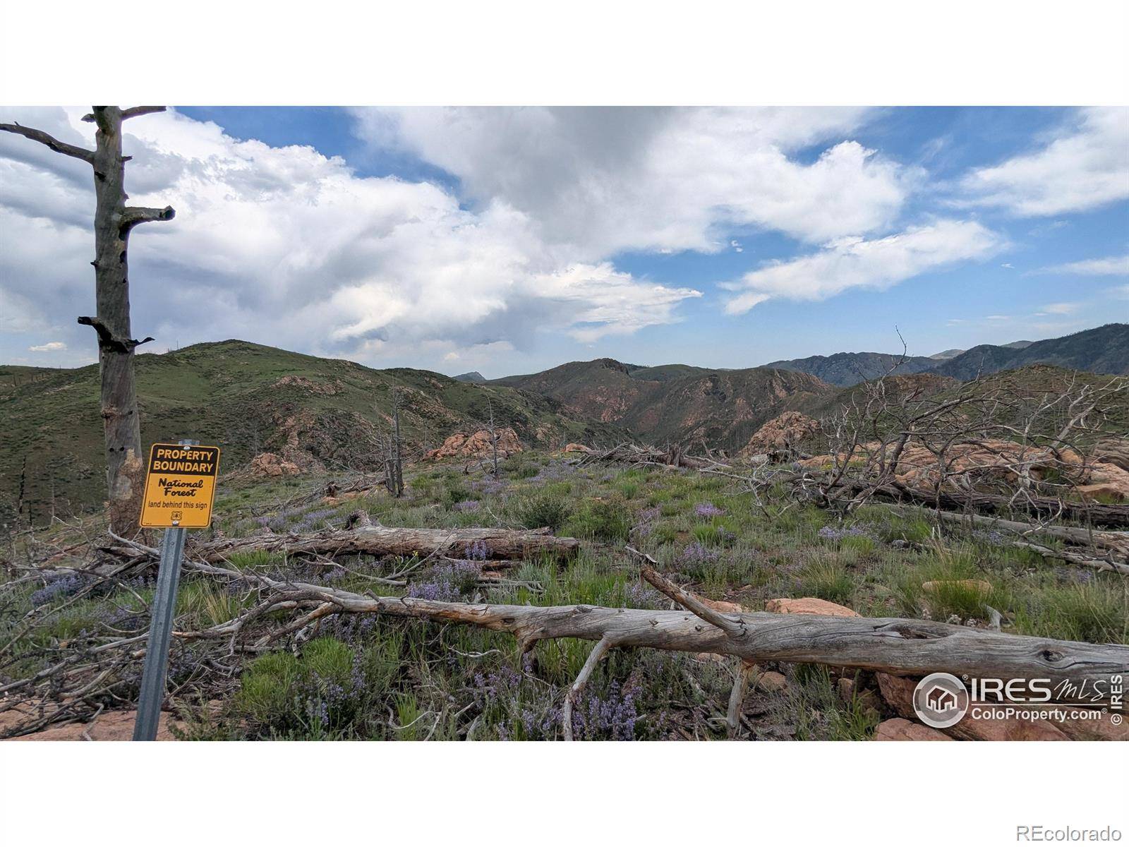 1324 Meadow Mountain DR, Livermore, CO 80536