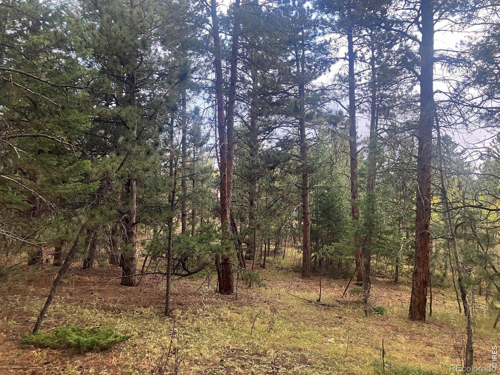 505 Lakeshore DR, Boulder, CO 80302
