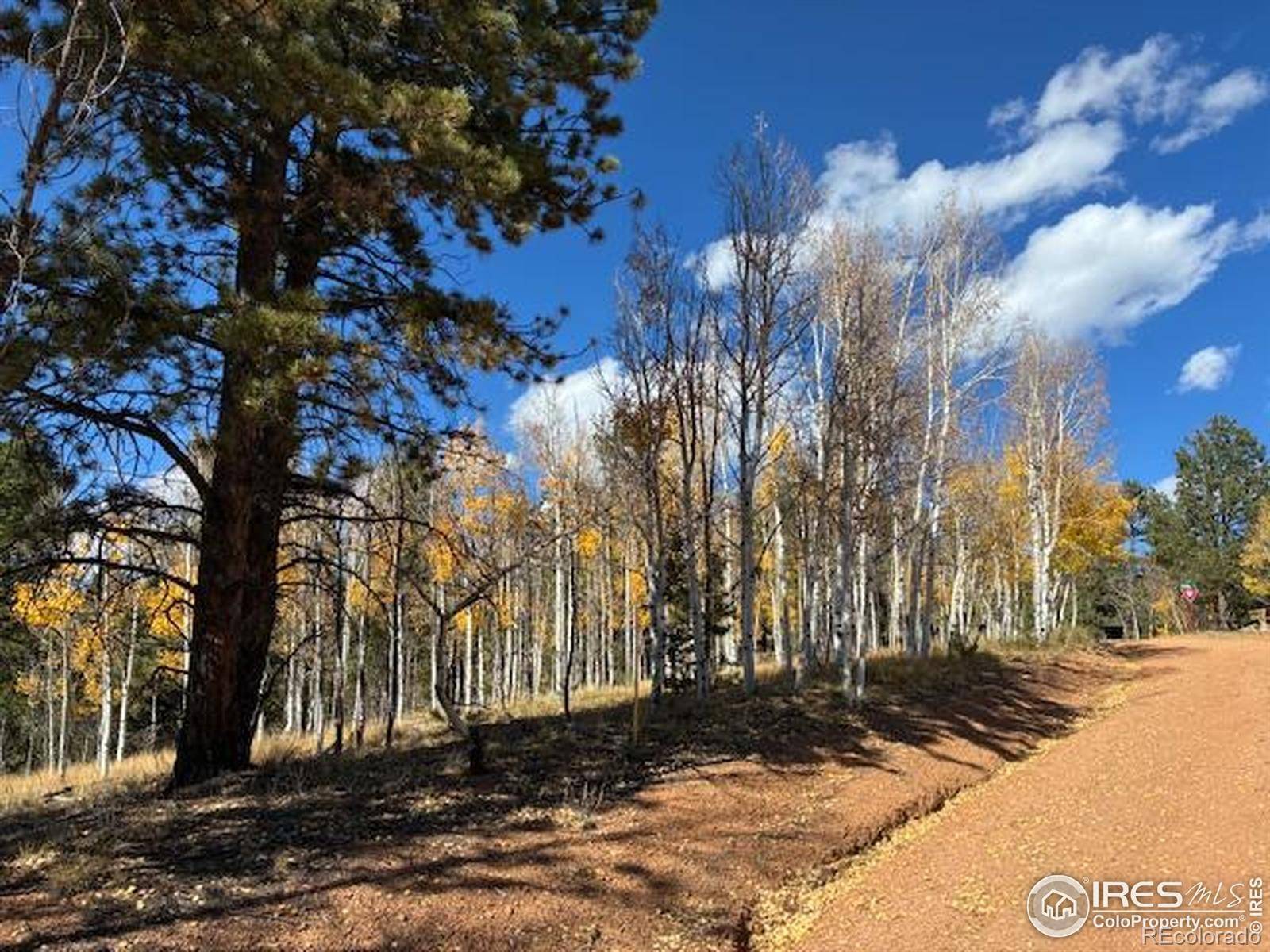 85 Remwood CIR, Divide, CO 80814