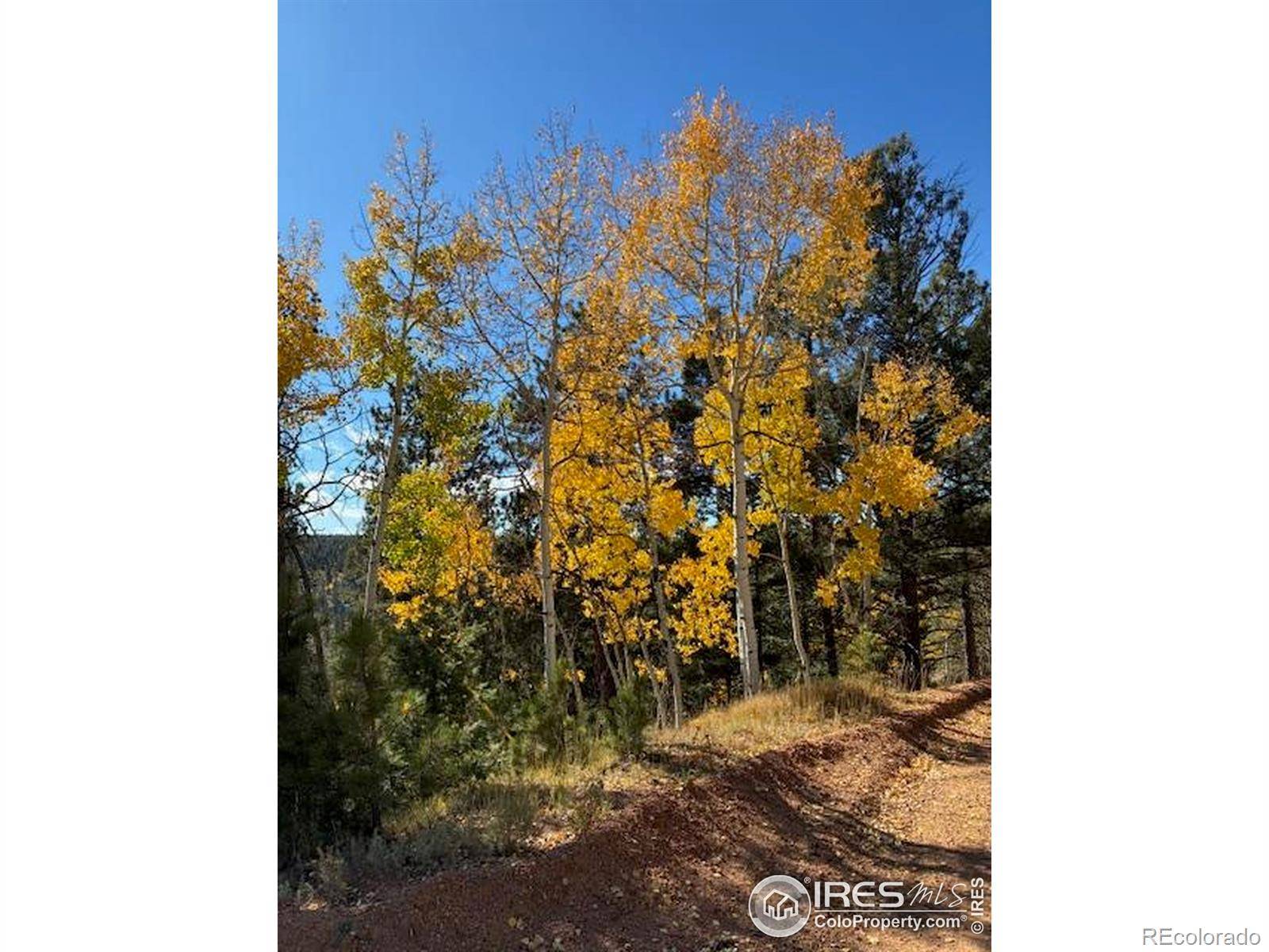 85 Remwood CIR, Divide, CO 80814